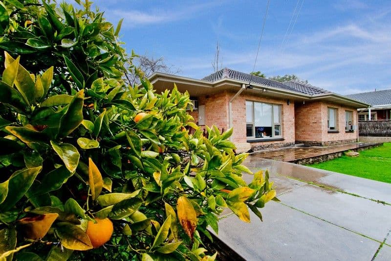 17 Fife Street, Vale Park SA 5081, Vale Park - Thumbnail 2