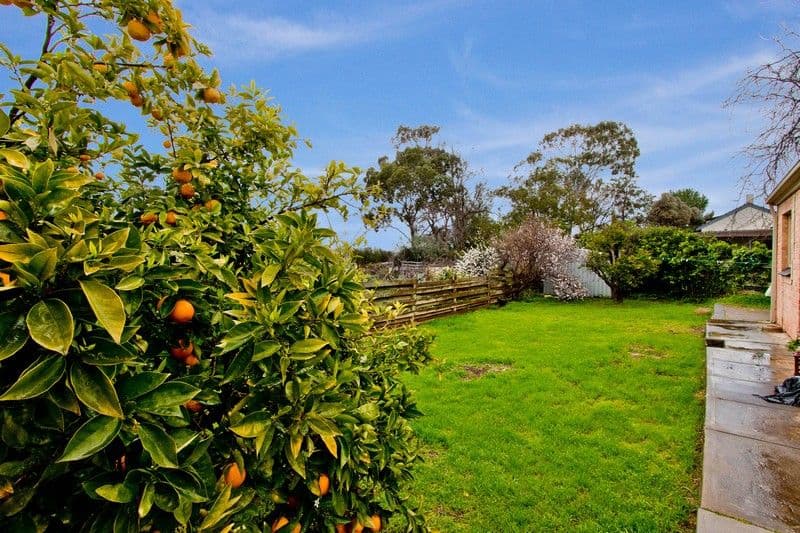 17 Fife Street, Vale Park SA 5081, Vale Park - Thumbnail 3