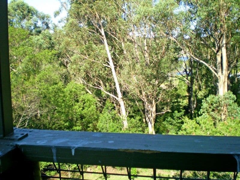 8 Runnyford Road, NELLIGEN NSW 2536, Nelligen - Thumbnail 2
