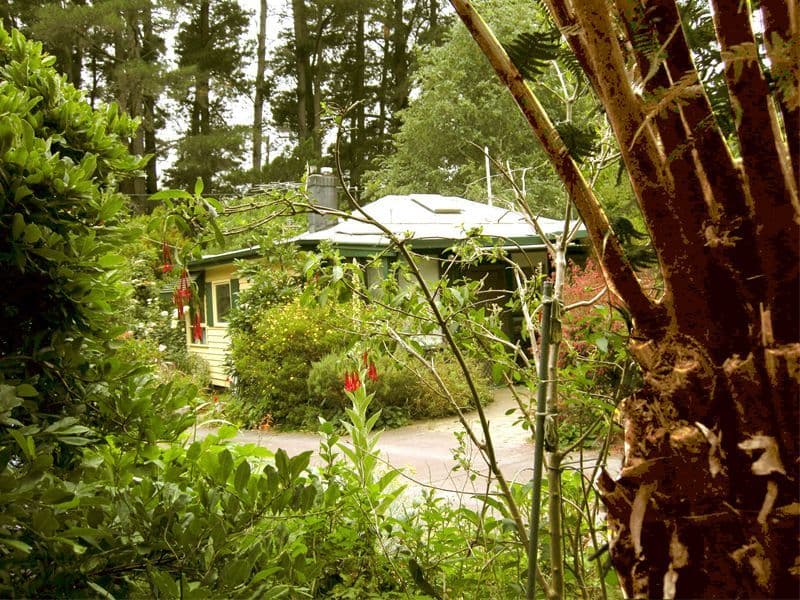 12  Summerlea Road, MOUNT DANDENONG VIC 3767, Mount Dandenong - Thumbnail 3