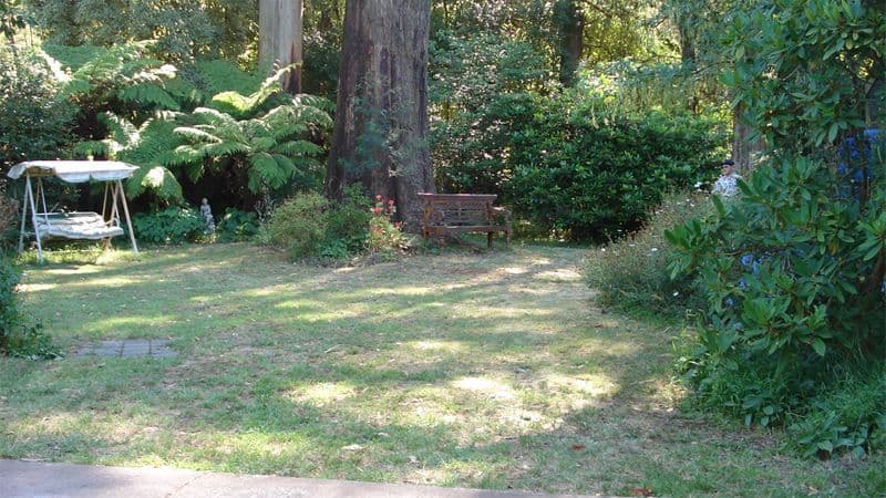 12  Summerlea Road, MOUNT DANDENONG VIC 3767, Mount Dandenong - Thumbnail 5