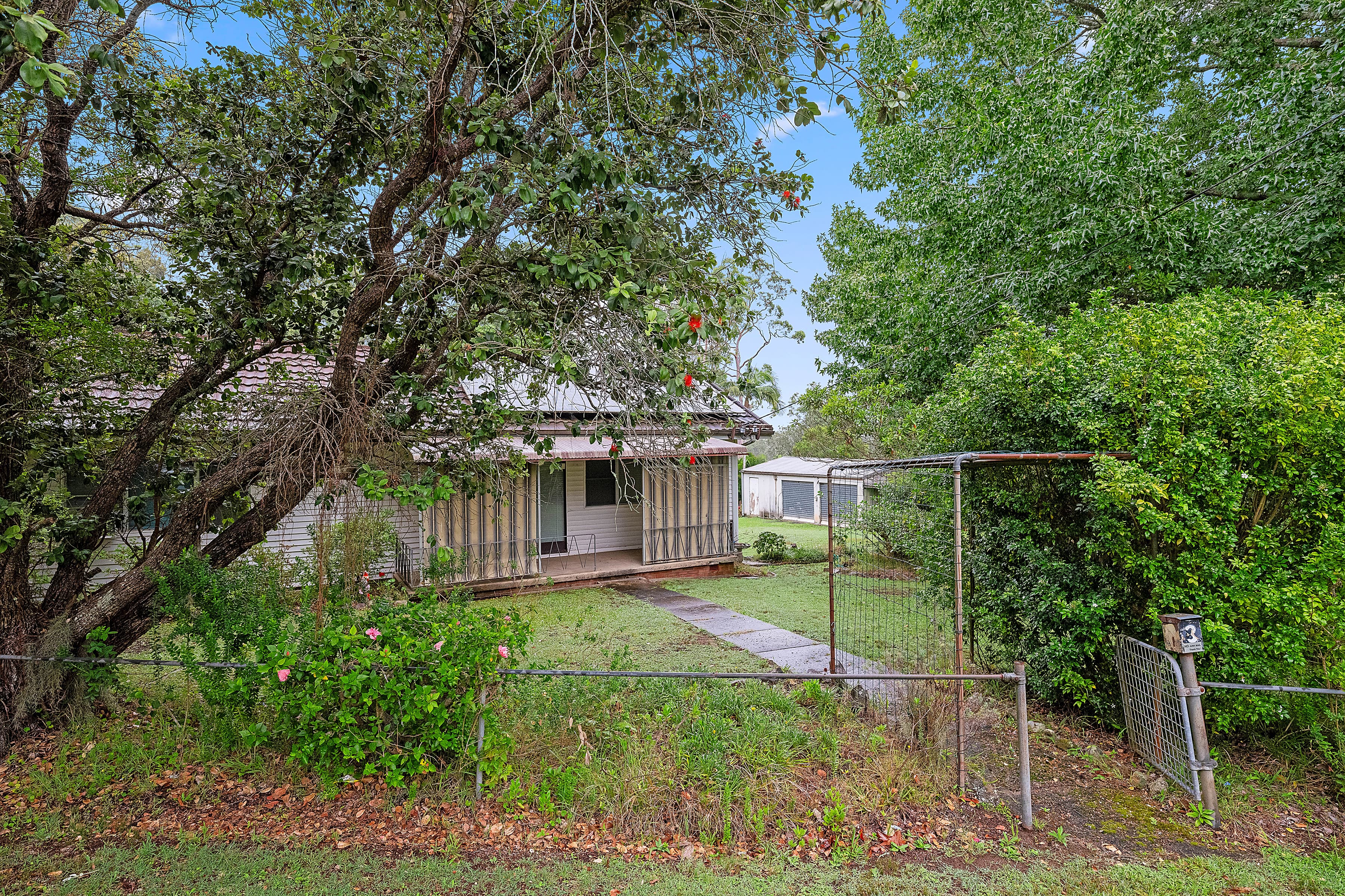 3 Terrigal Street, Morisset NSW 2264, Morisset - Thumbnail 4