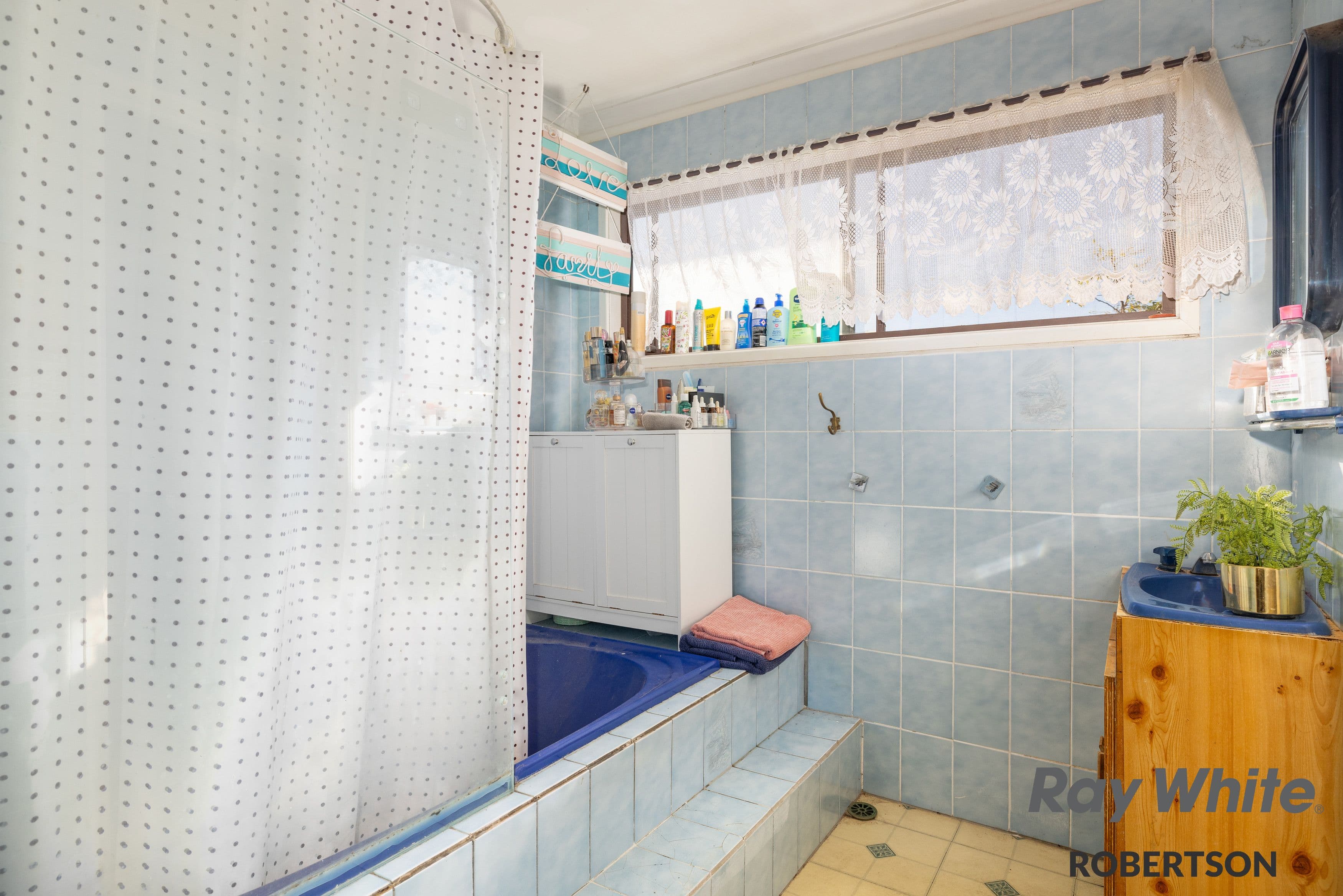 36 Kidd Street, Robertson QLD 4109, Robertson - Thumbnail 7