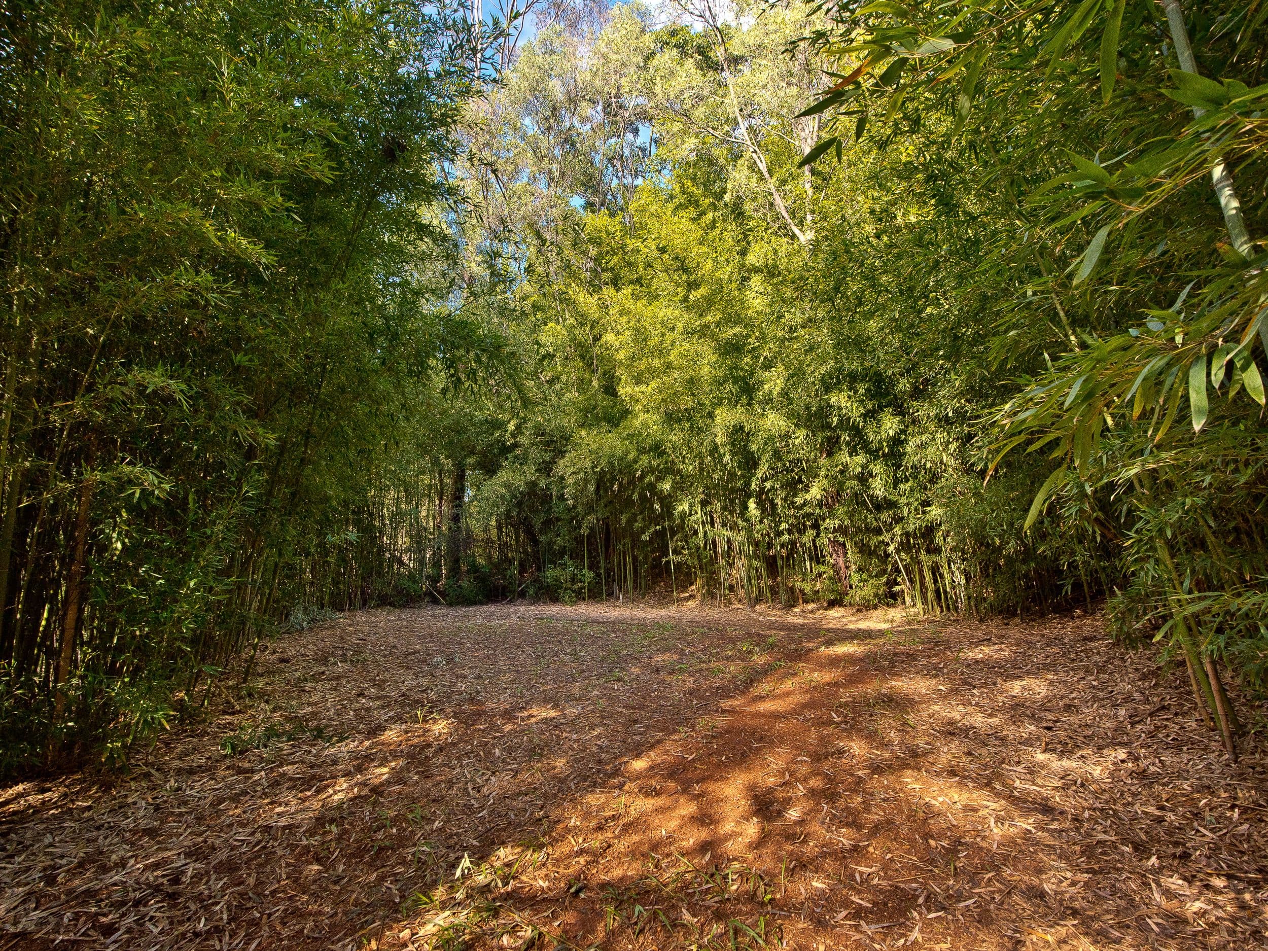 509 Clear Mountain Road, Clear Mountain QLD 4500, Clear Mountain - Thumbnail 3