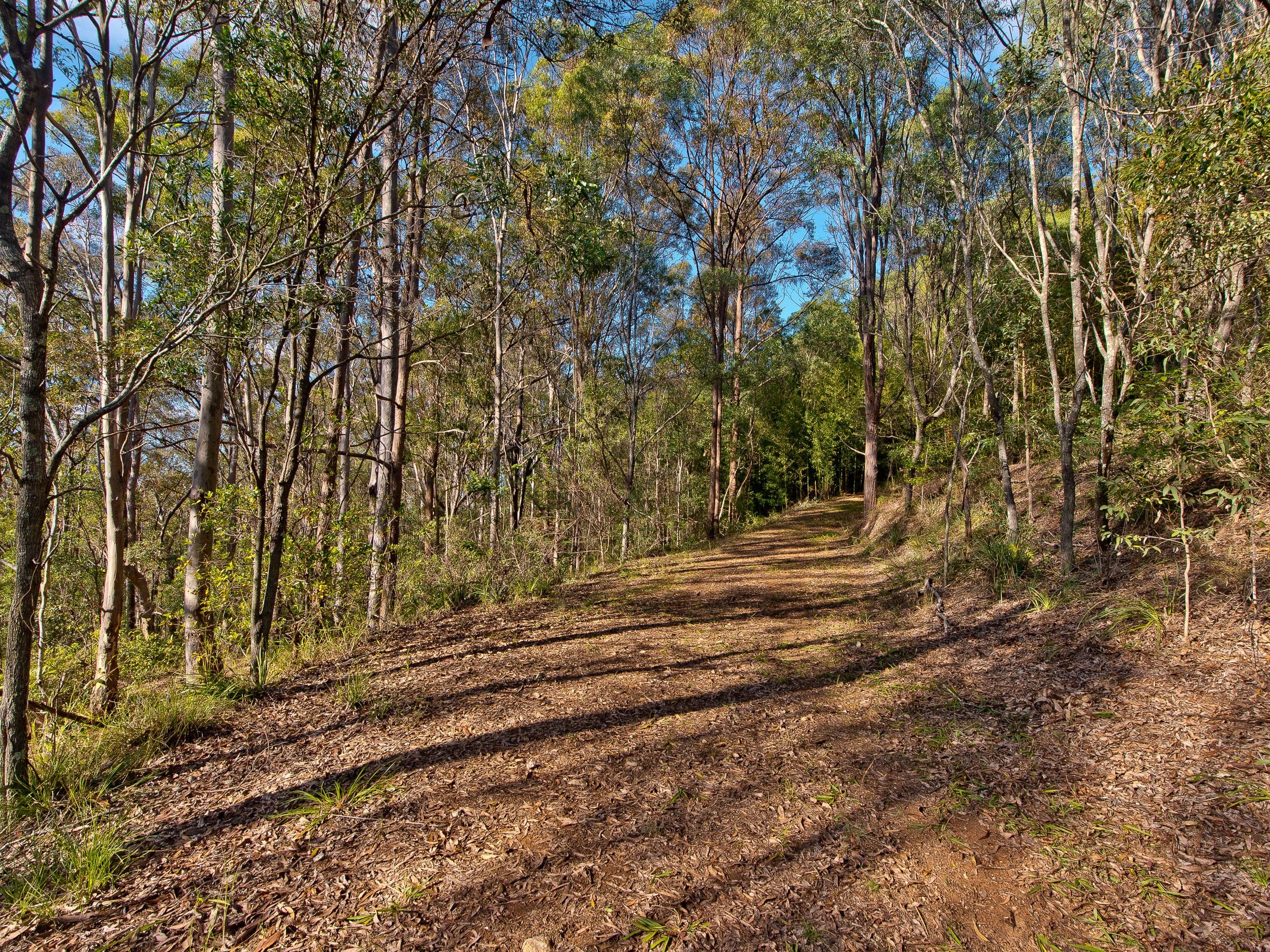 509 Clear Mountain Road, Clear Mountain QLD 4500, Clear Mountain - Thumbnail 4