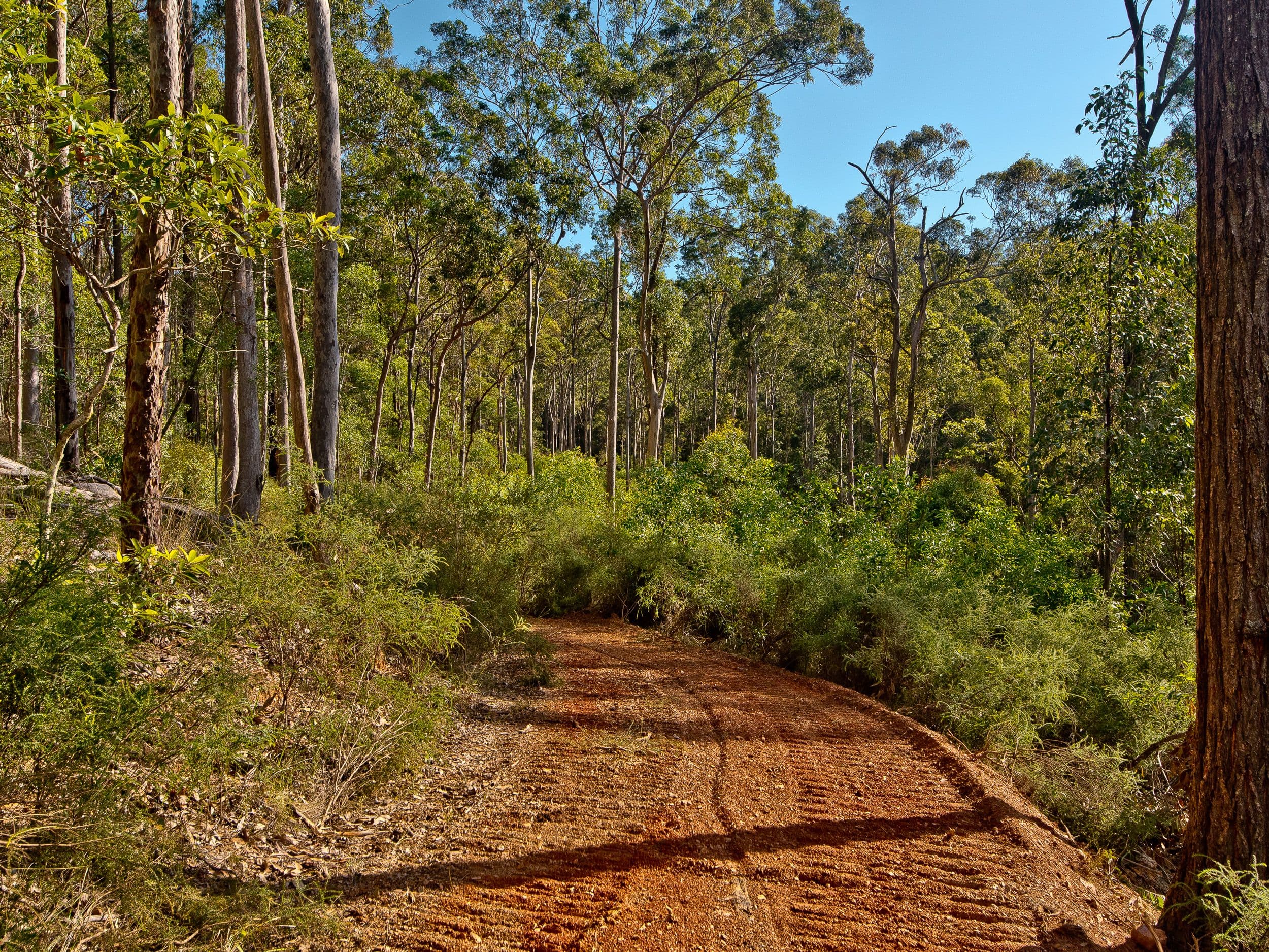 509 Clear Mountain Road, Clear Mountain QLD 4500, Clear Mountain - Thumbnail 5