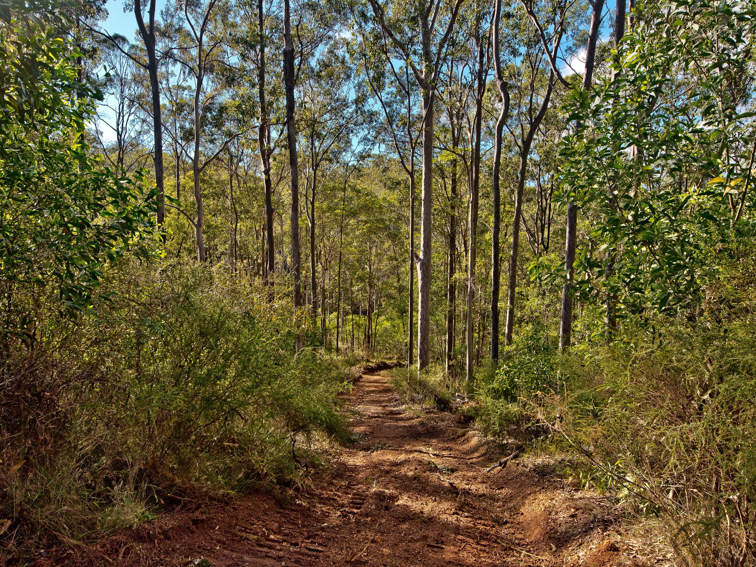 509 Clear Mountain Road, Clear Mountain QLD 4500, Clear Mountain - Thumbnail 6