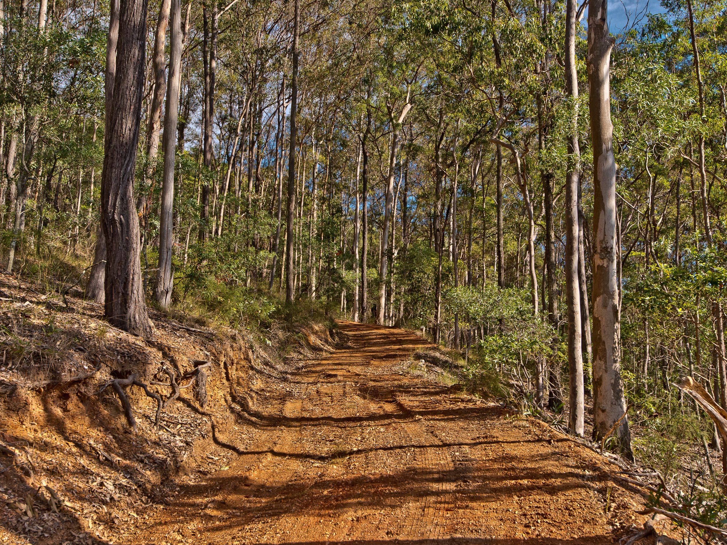 509 Clear Mountain Road, Clear Mountain QLD 4500, Clear Mountain - Thumbnail 7