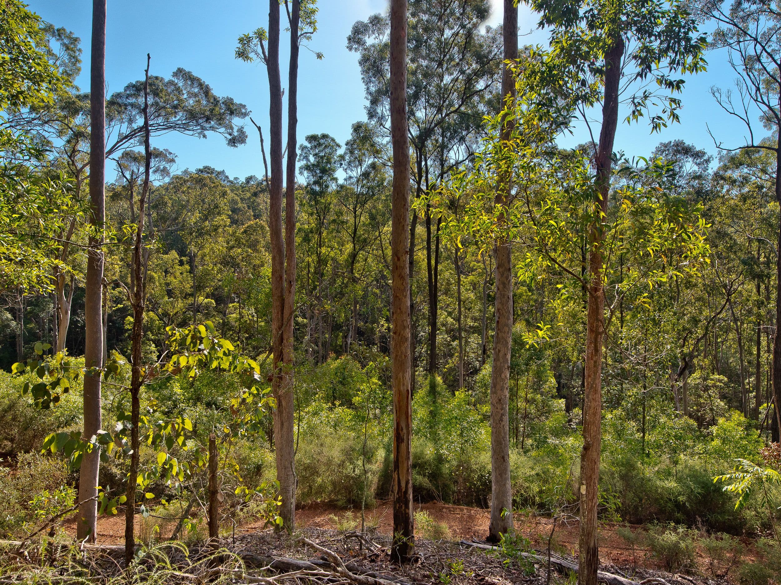 509 Clear Mountain Road, Clear Mountain QLD 4500, Clear Mountain - Thumbnail 8