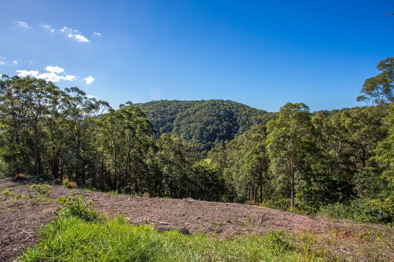65 Honeydew Place, Ninderry QLD 4561, Ninderry - Thumbnail 4