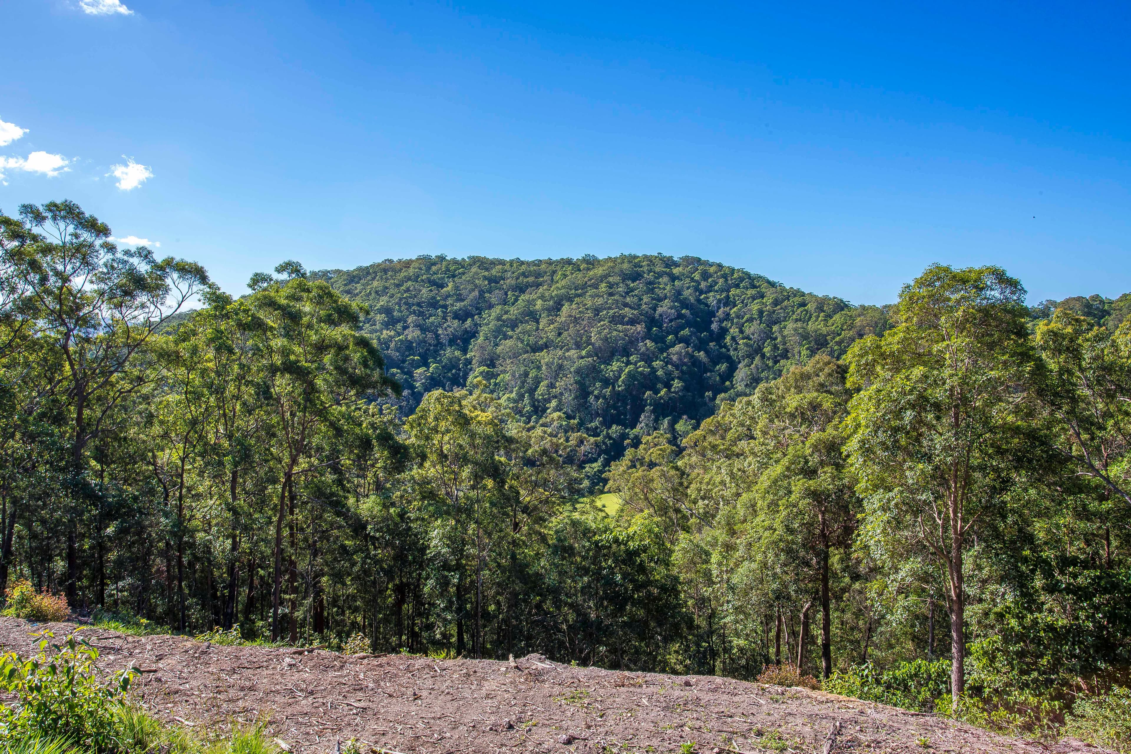 65 Honeydew Place, Ninderry QLD 4561, Ninderry - Thumbnail 5