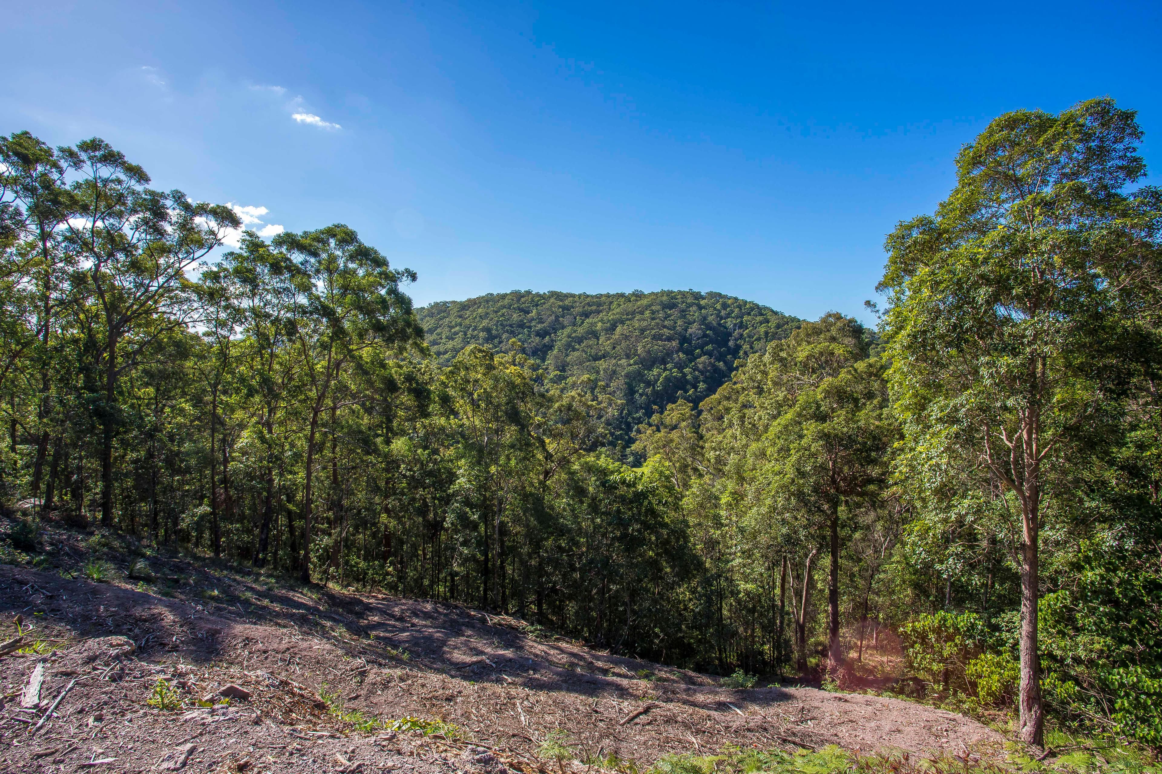 65 Honeydew Place, Ninderry QLD 4561, Ninderry - Thumbnail 6