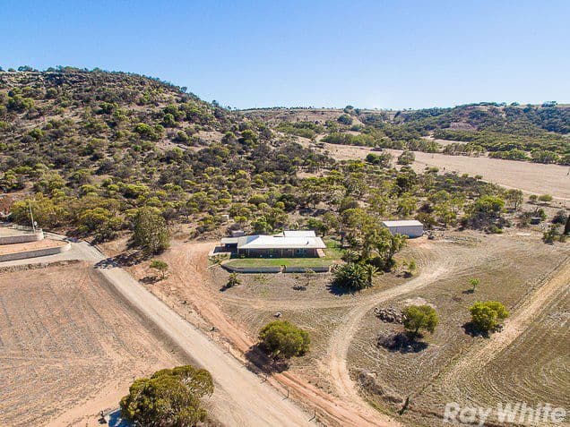 36 Mills Place, Waggrakine WA 6530, Waggrakine - Thumbnail 2