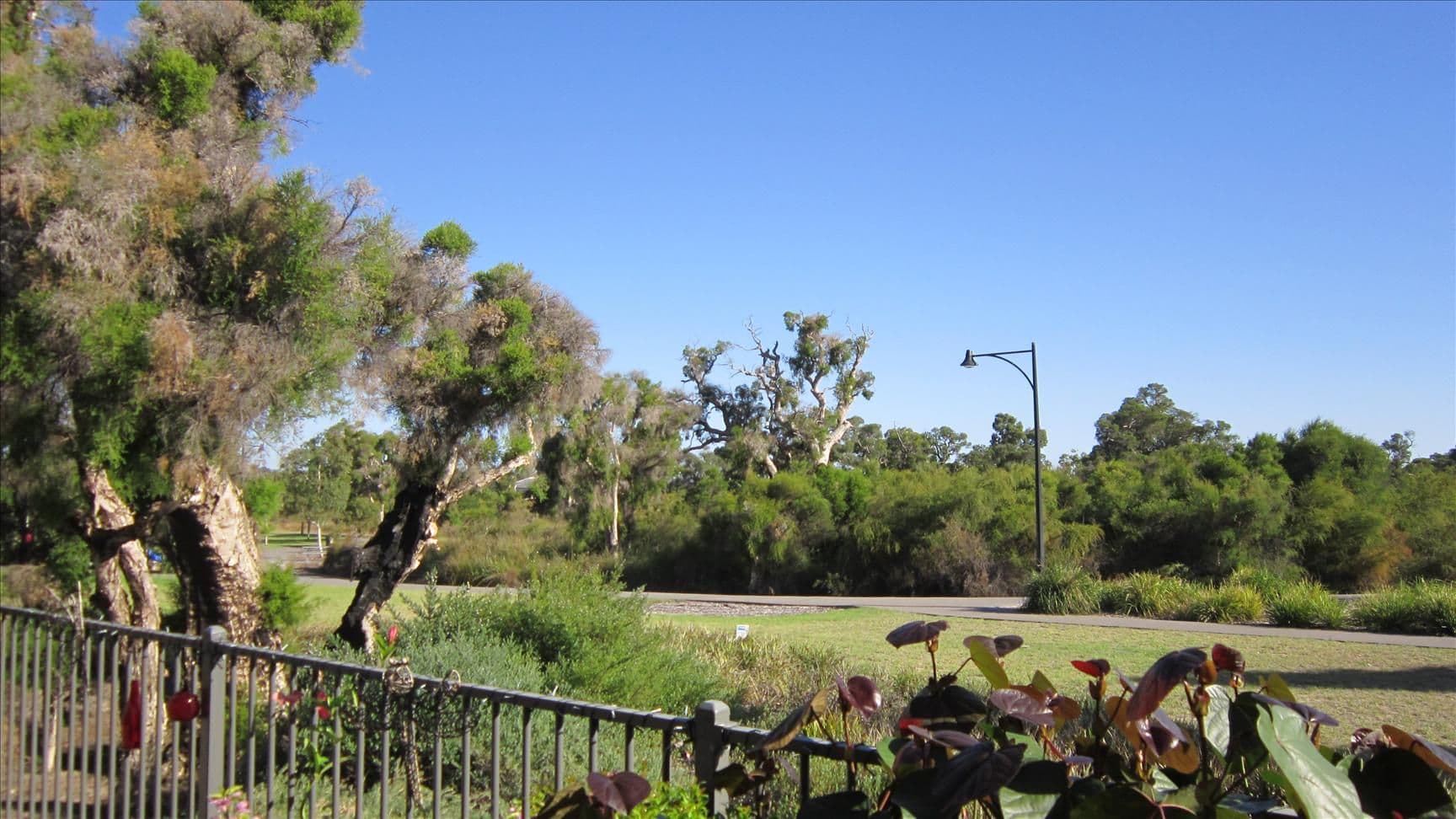14 Hirani Link, AVELEY WA 6069, Aveley - Thumbnail 2