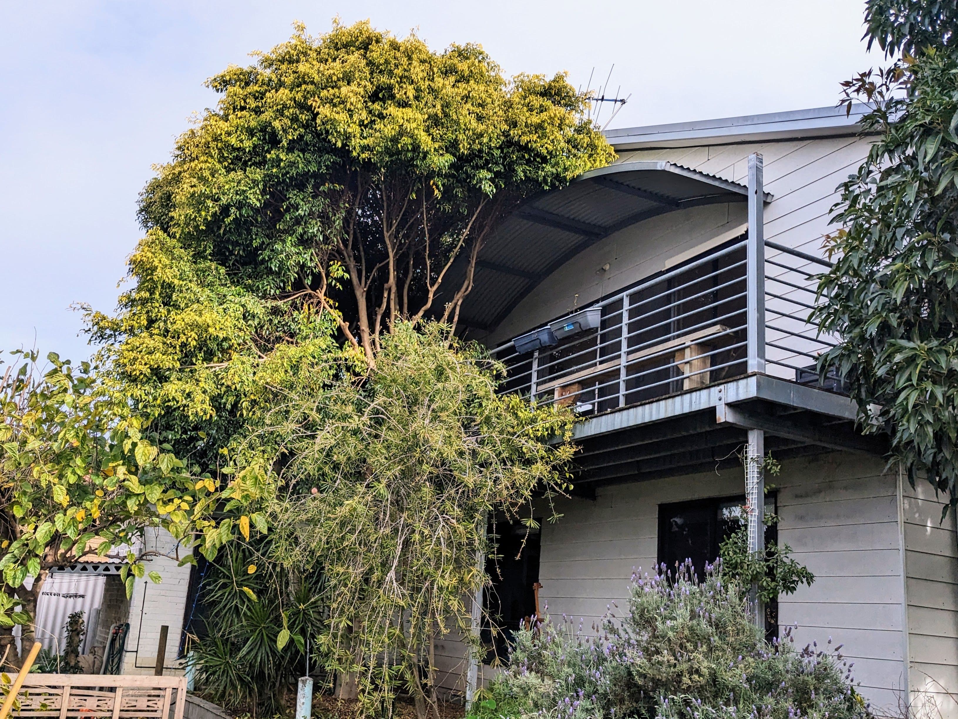 22 French Street, Joondanna WA 6060, Joondanna - Thumbnail 4