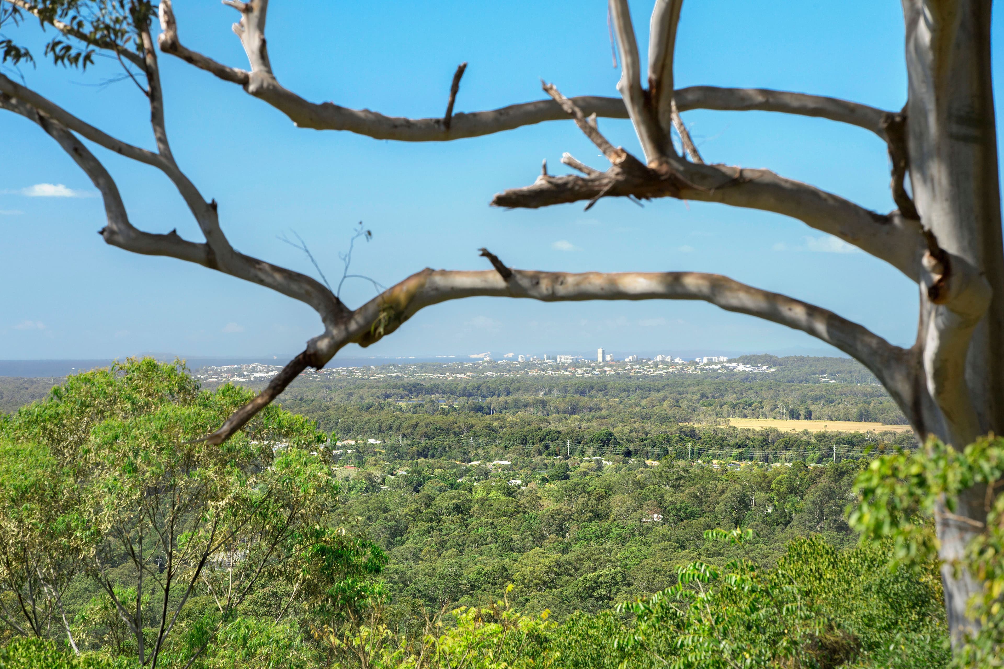 Lot 1, 29 Serene Close, Mons QLD 4556, Mons - Thumbnail 2