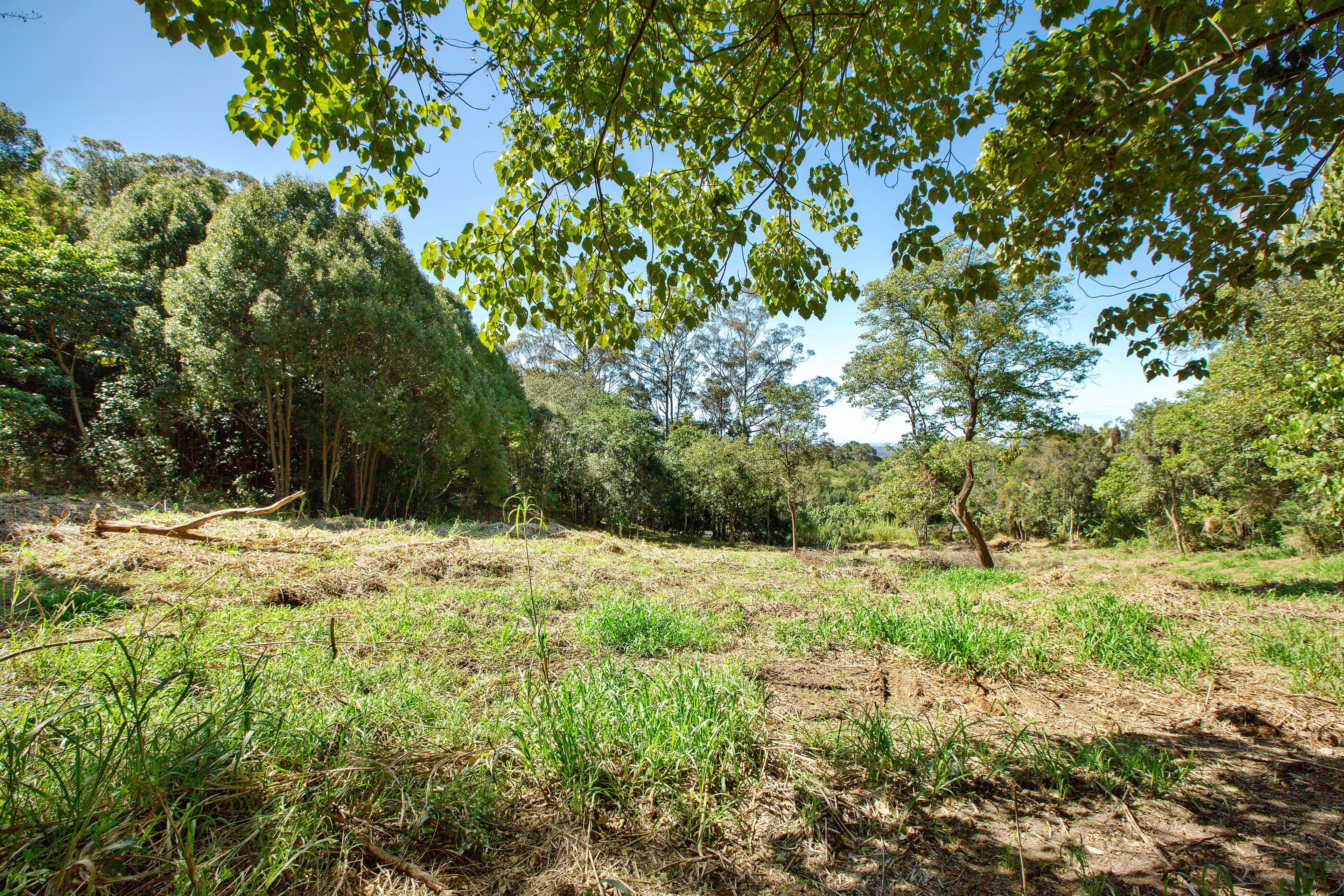 Lot 1, 29 Serene Close, Mons QLD 4556, Mons - Thumbnail 4