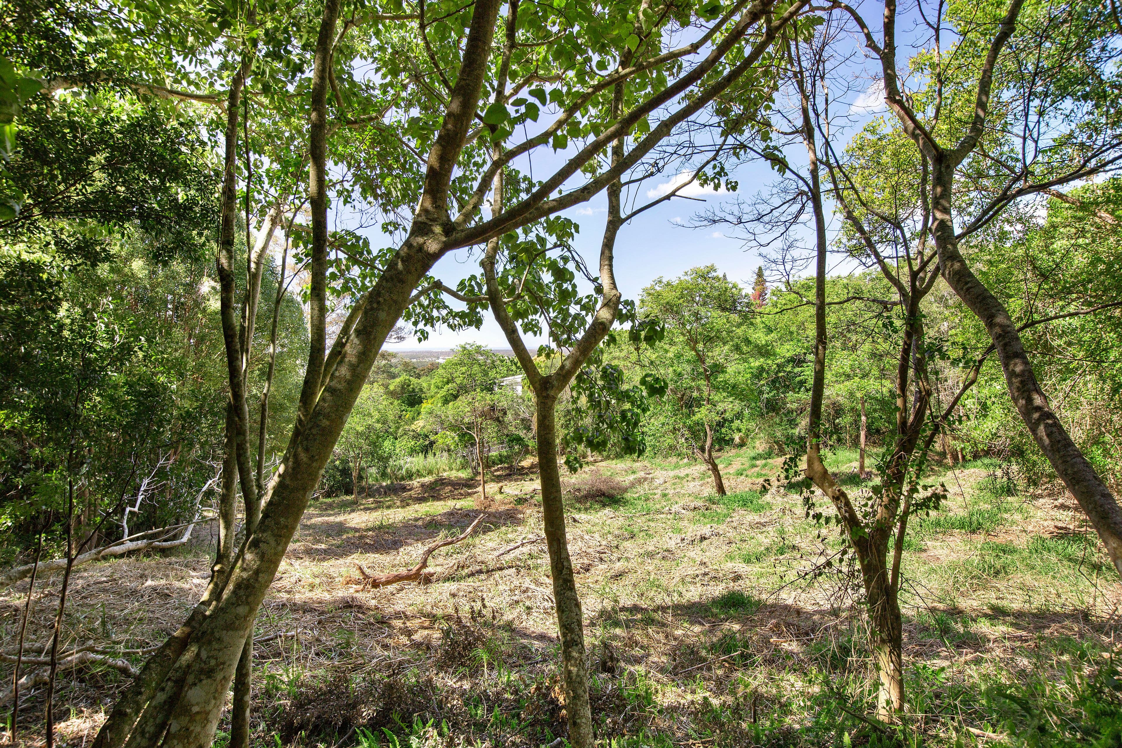 Lot 1, 29 Serene Close, Mons QLD 4556, Mons - Thumbnail 5