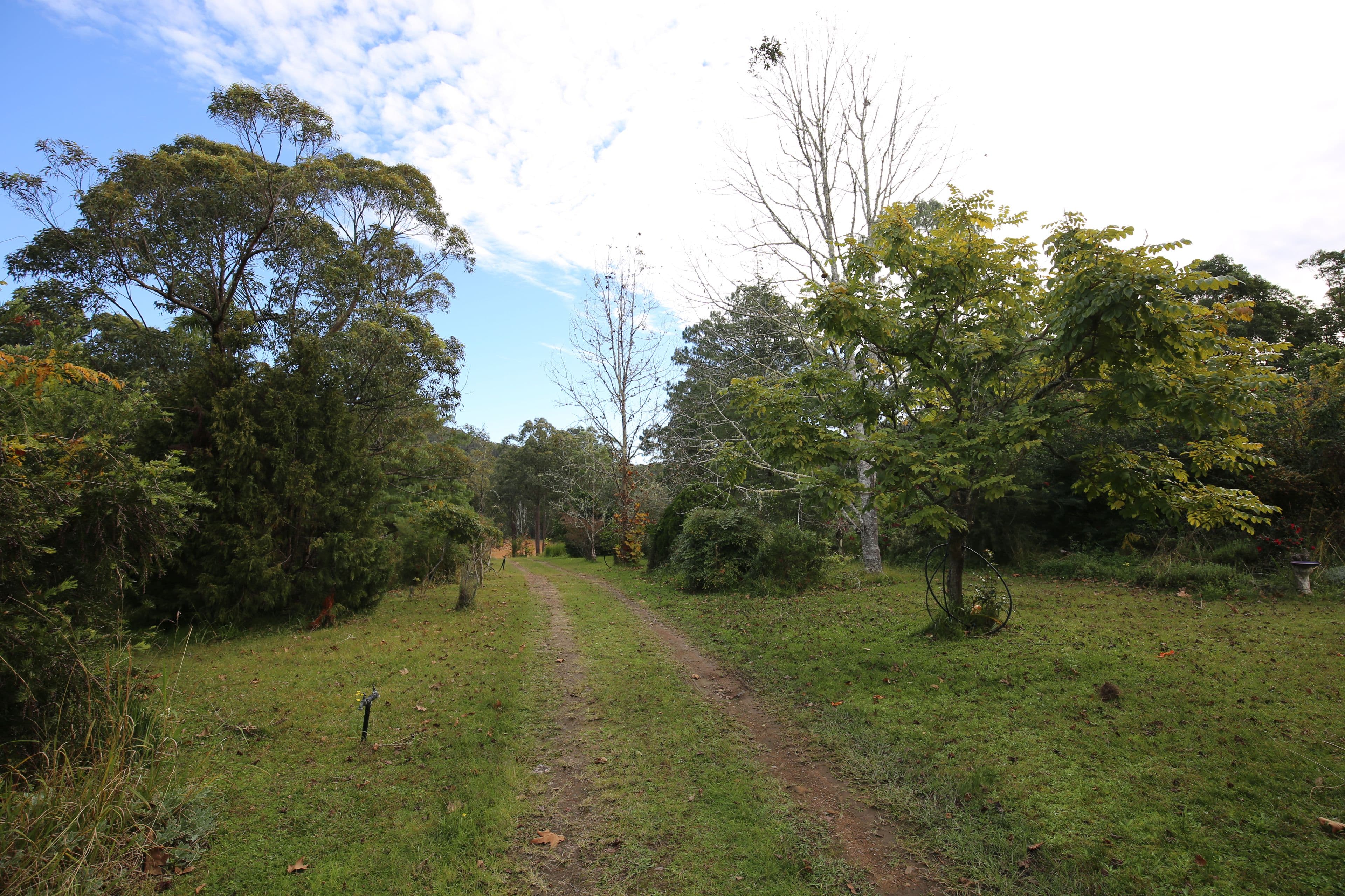 109 Old Schoolhouse Road, Crawford River NSW 2423, Crawford River - Thumbnail 8