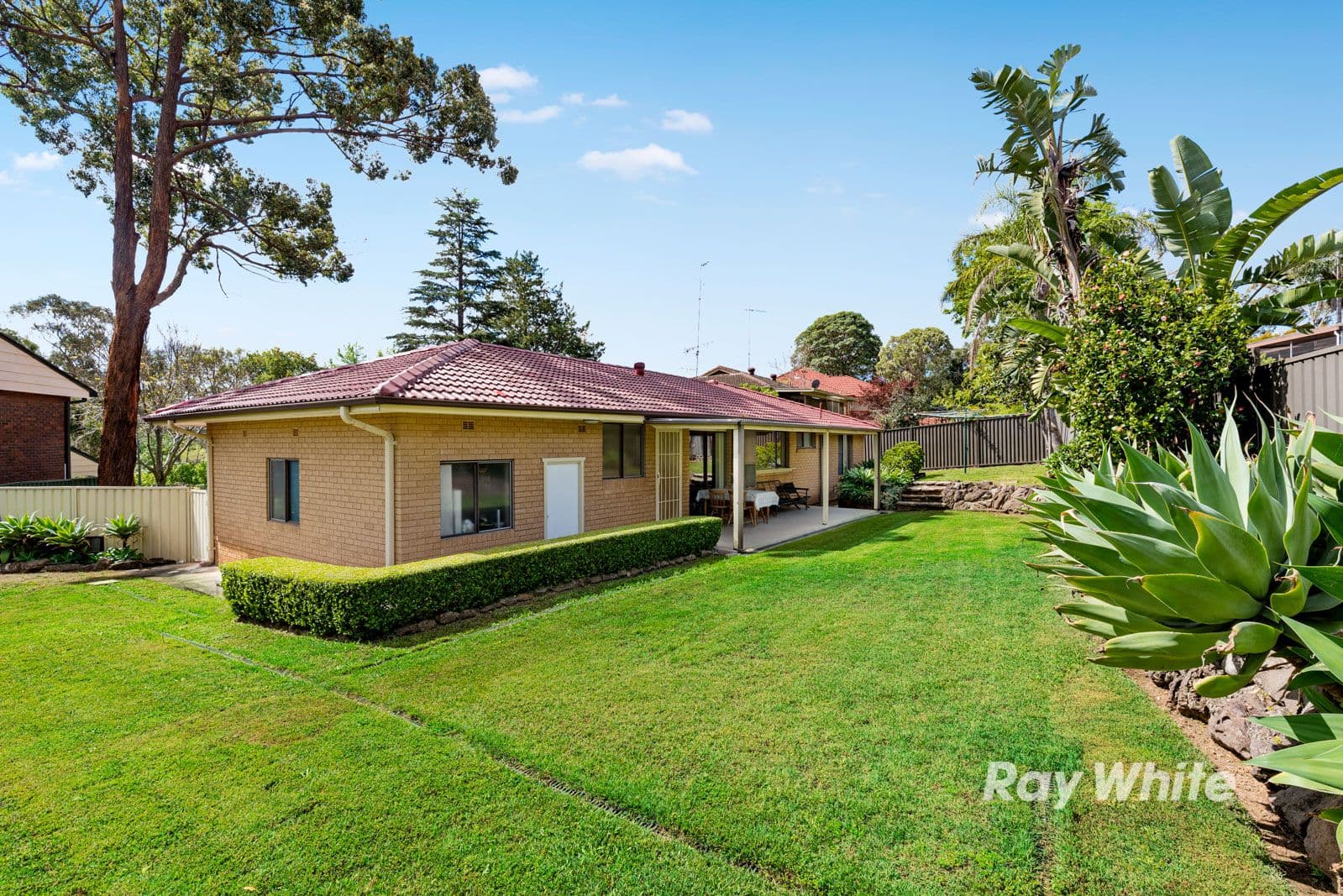 19 Miretta Place, Castle Hill - Thumbnail 8
