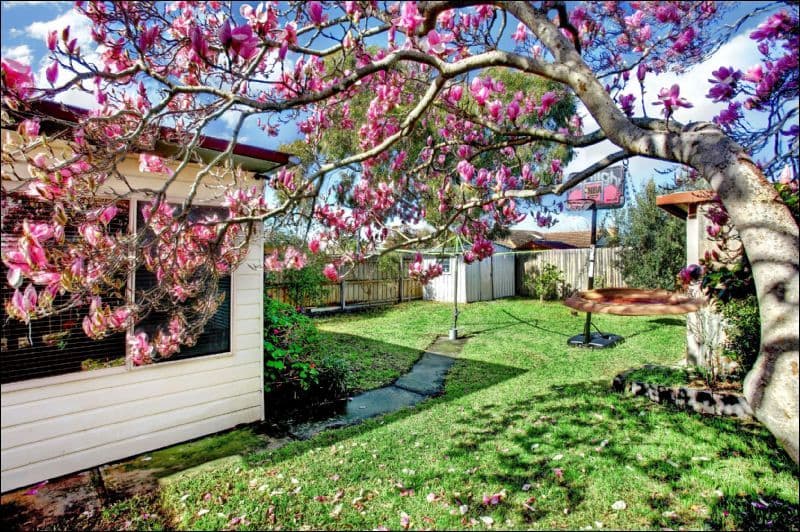 61 Parkstone Avenue, PASCOE VALE SOUTH VIC 3044, Pascoe Vale South - Thumbnail 6