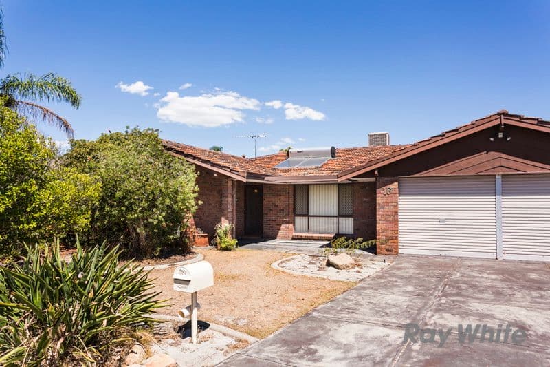16 Westminster Road, Leeming WA 6149, Leeming - Thumbnail 8
