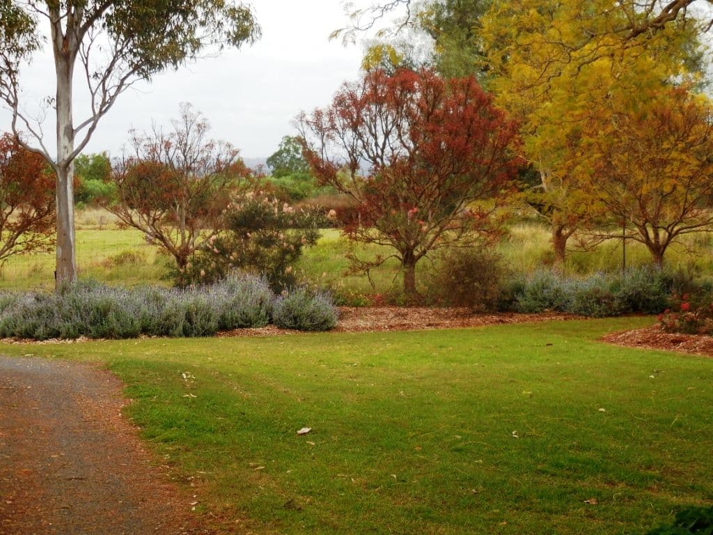 11500 Bunya Highway, Kingaroy QLD 4610, Kingaroy - Thumbnail 6