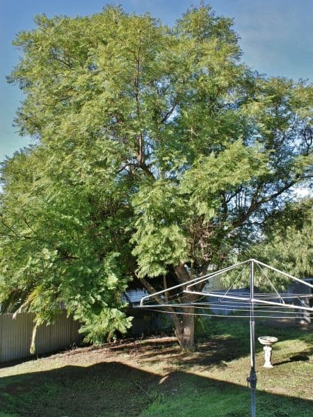 11 Mary Terrace, MURRAY BRIDGE SA 5253, Murray Bridge - Thumbnail 7