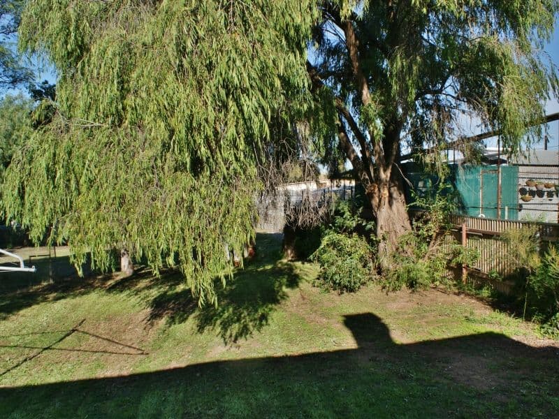 11 Mary Terrace, MURRAY BRIDGE SA 5253, Murray Bridge - Thumbnail 8