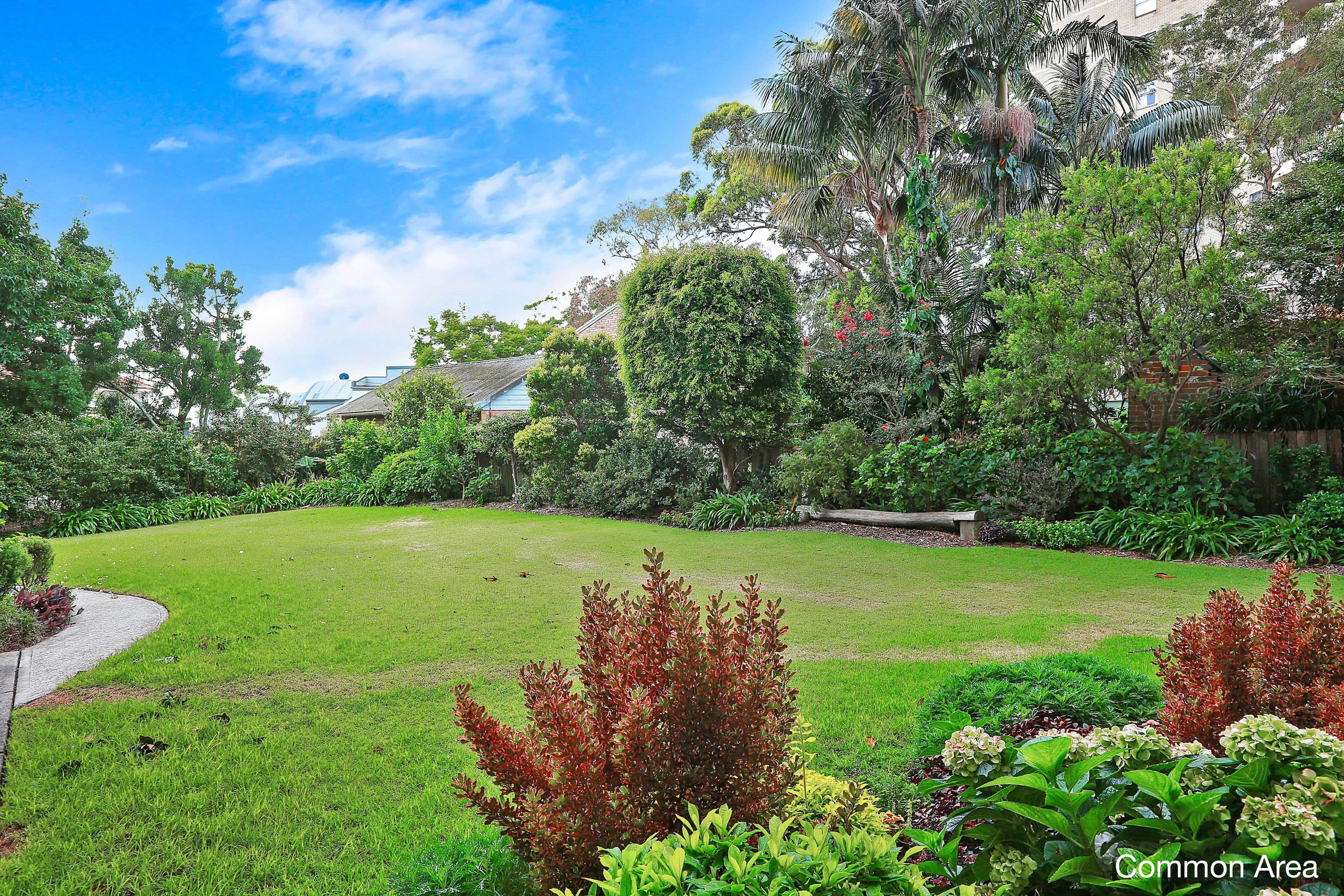 14-20 Gerard Street, Cremorne NSW 2090, Cremorne - Thumbnail 6