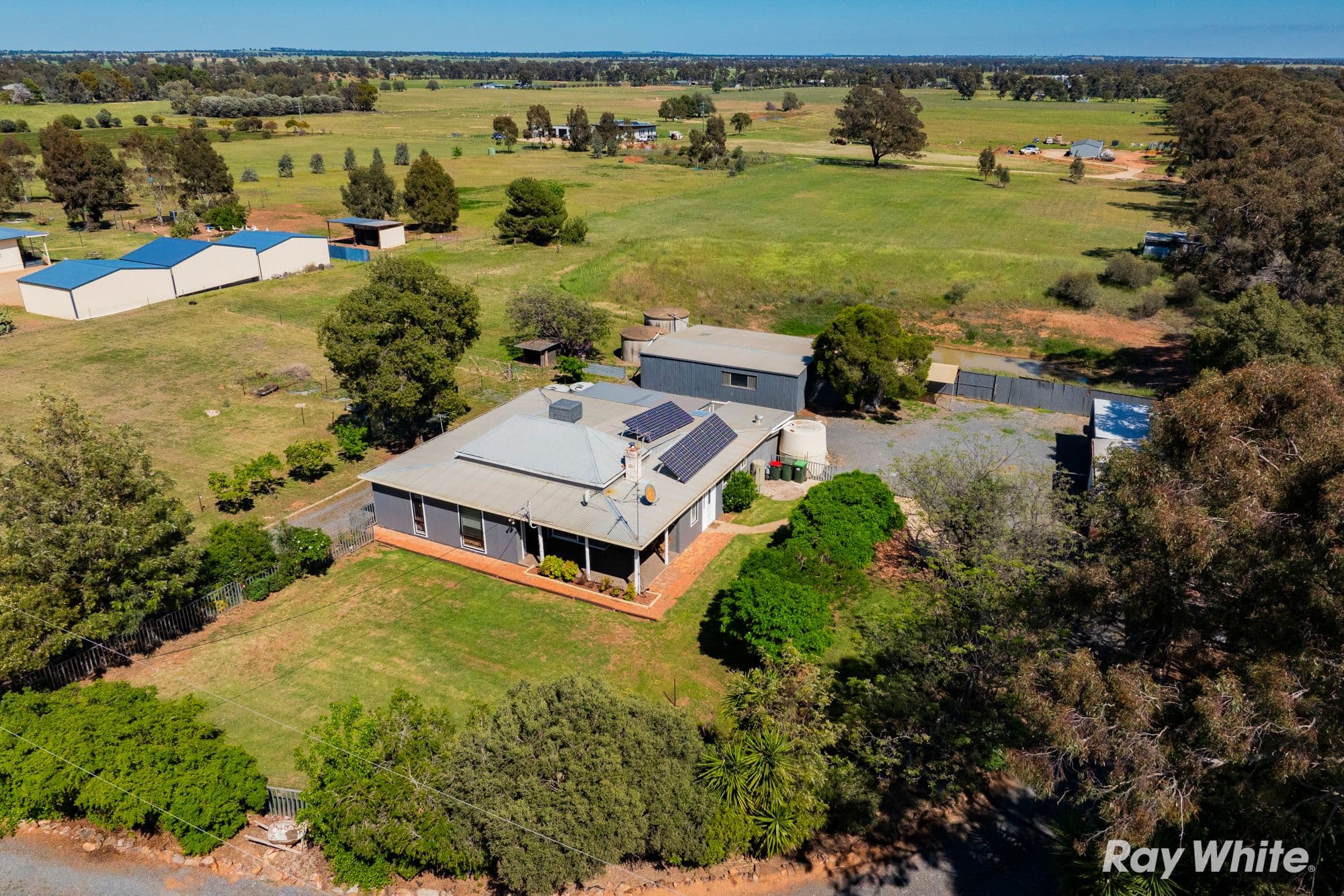 2323 Millwood Road, Coolamon NSW 2701, Coolamon - Thumbnail 2