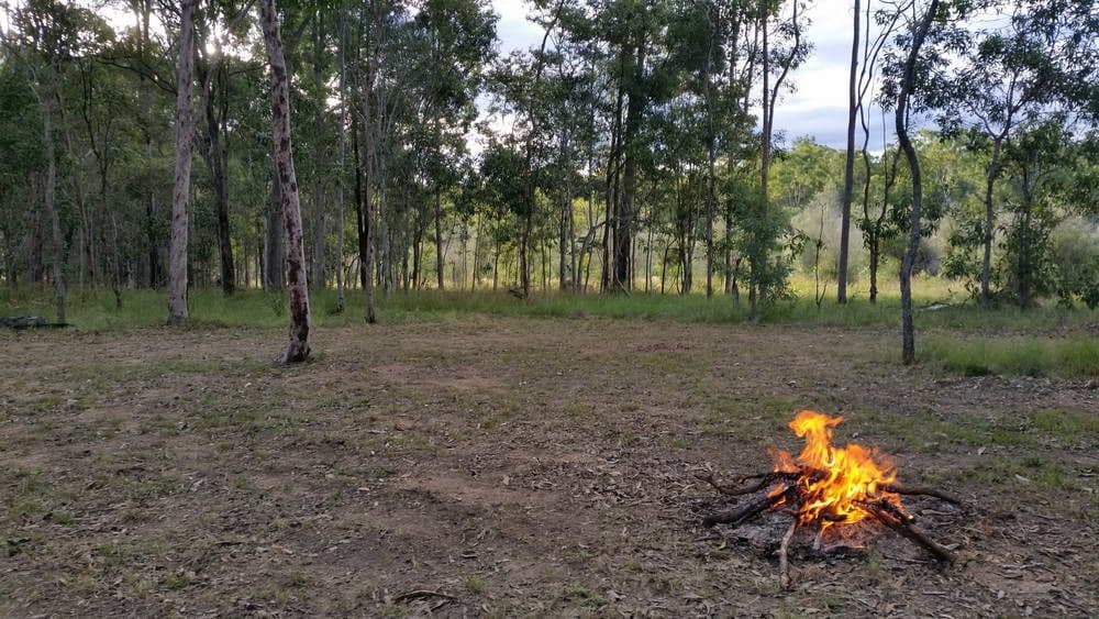 441 Larsens Road, Coominya QLD 4311, Coominya - Thumbnail 3
