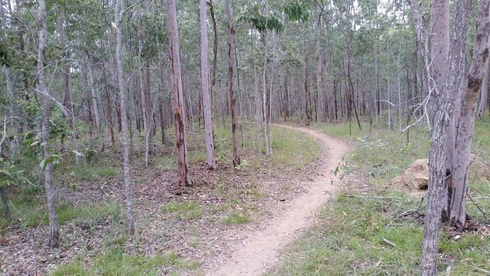 441 Larsens Road, Coominya QLD 4311, Coominya - Thumbnail 5