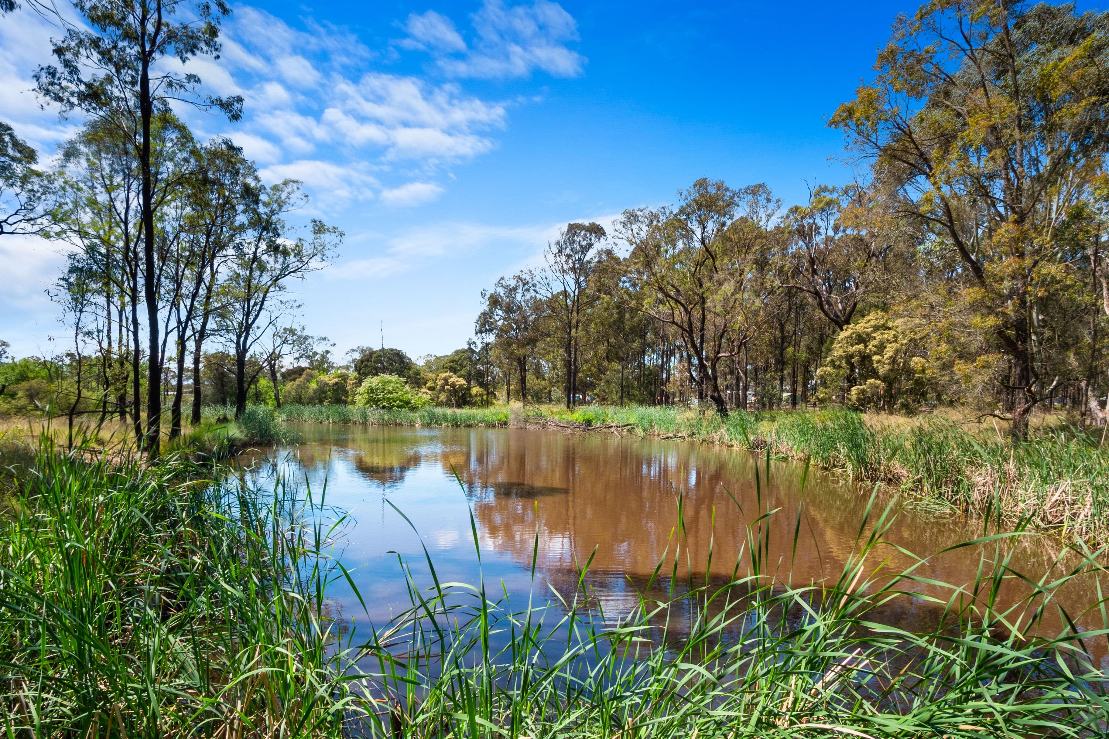 246-254 Reynolds Road, Londonderry NSW 2753, Londonderry - Thumbnail 4