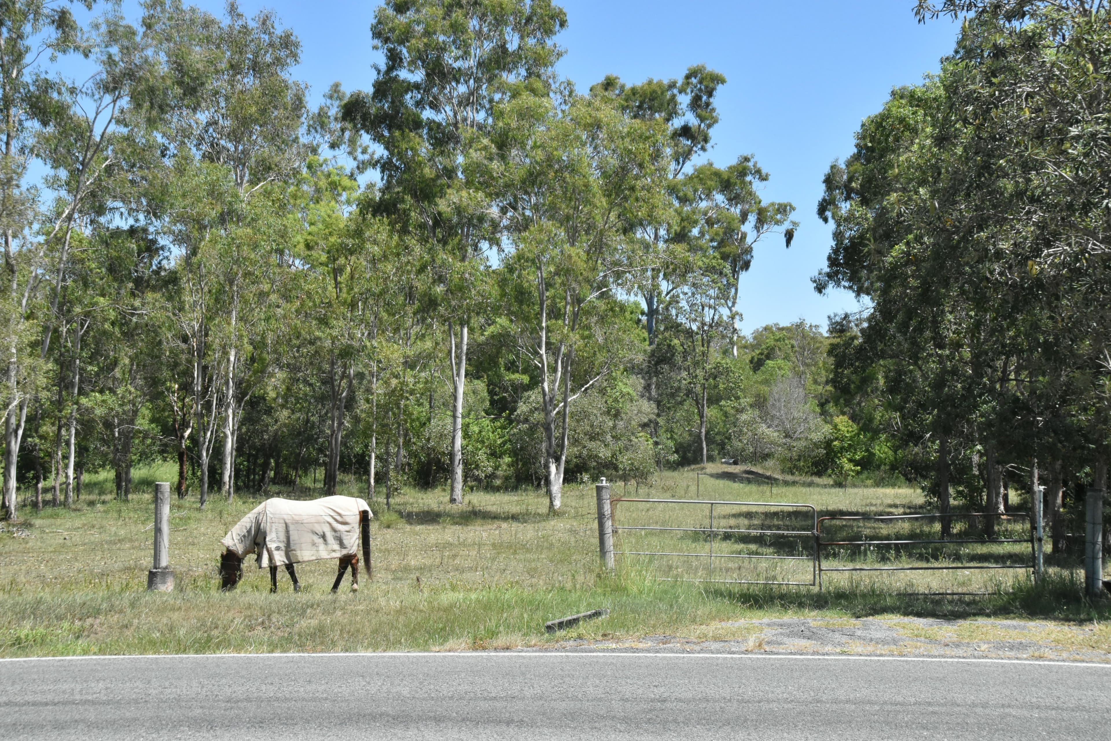 283 Rosia Road, Park Ridge South QLD 4125, Park Ridge South - Thumbnail 2