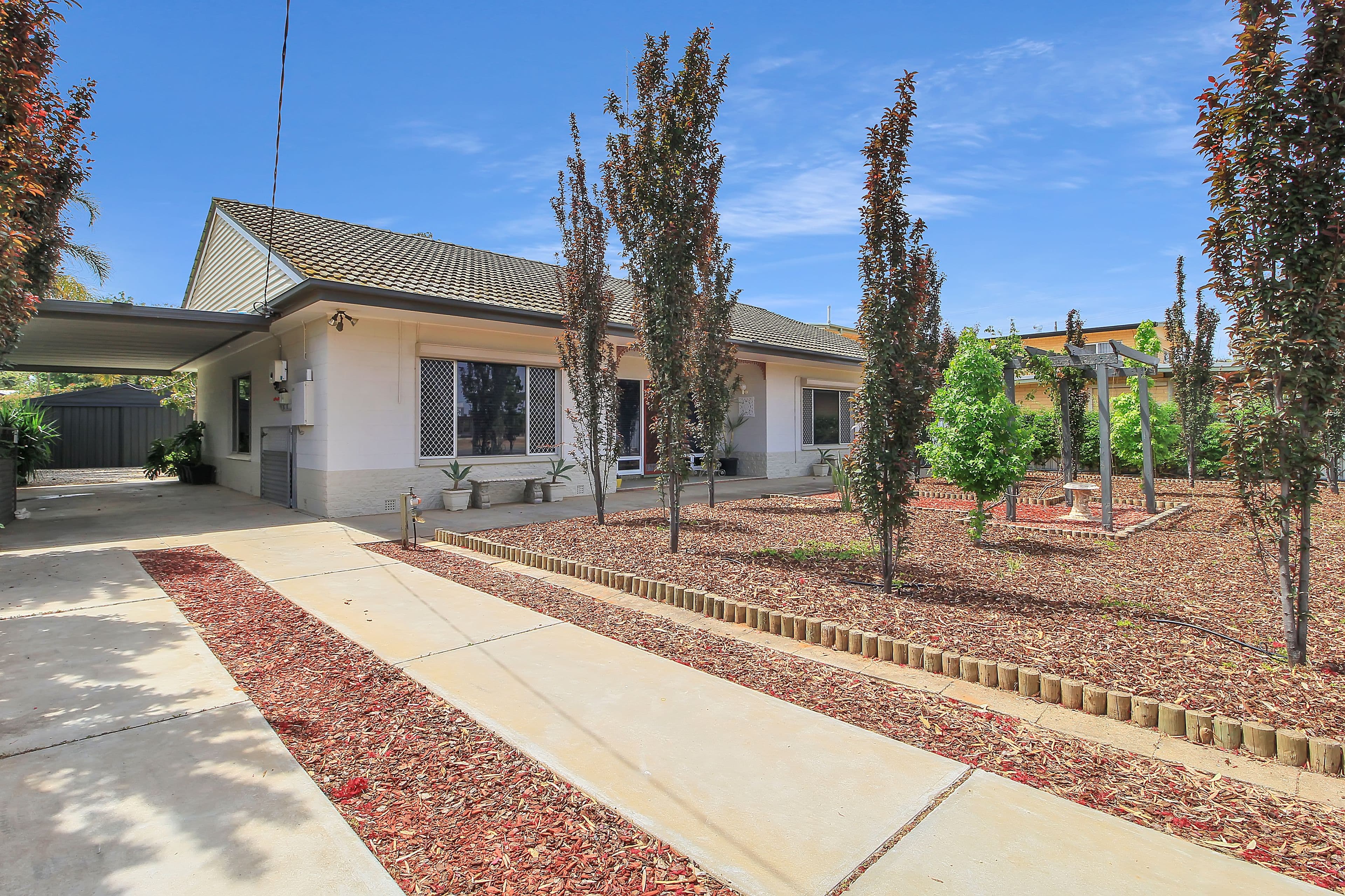 53 Tonkin Avenue, Barmera SA 5345, Barmera - Thumbnail 2