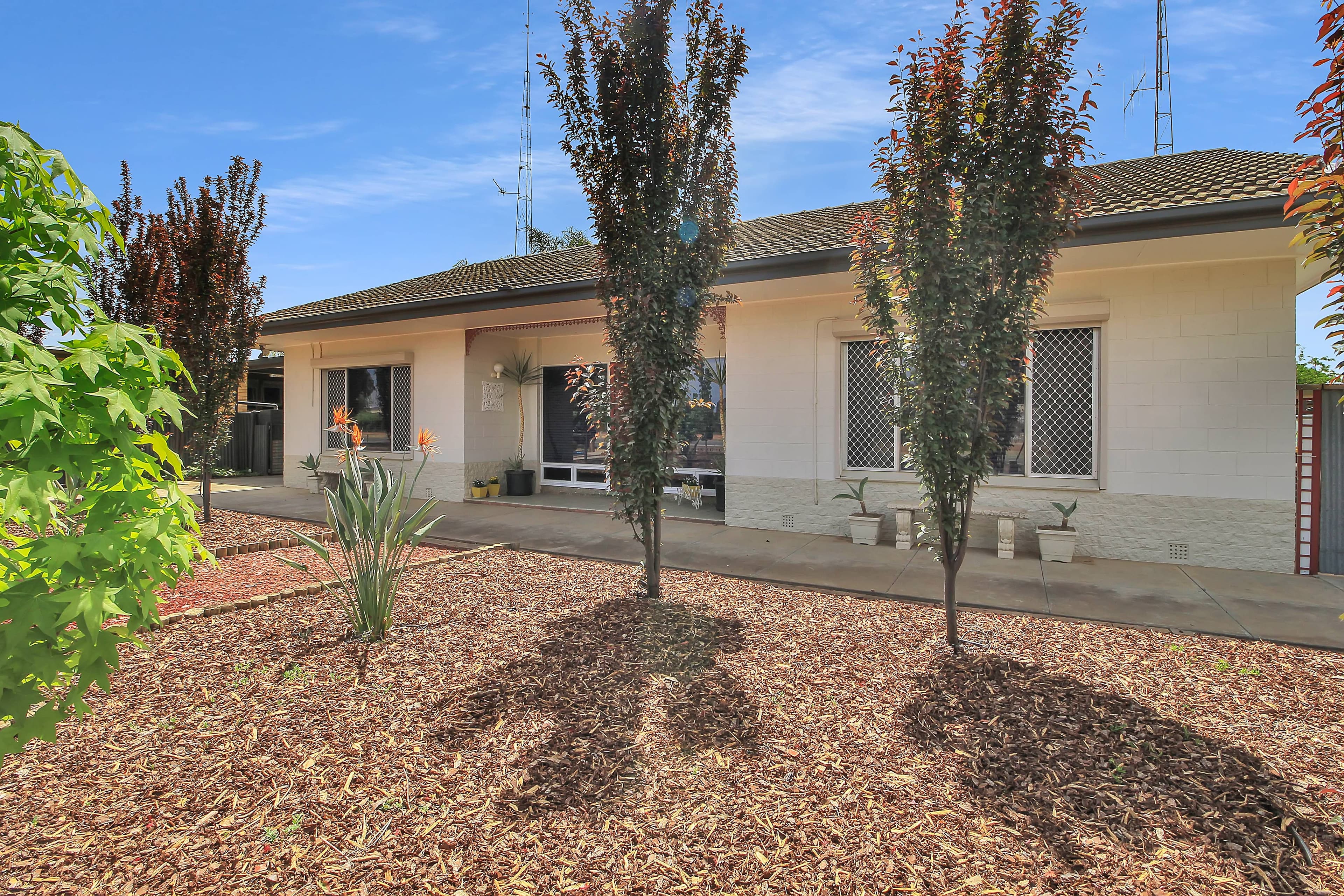 53 Tonkin Avenue, Barmera SA 5345, Barmera - Thumbnail 3
