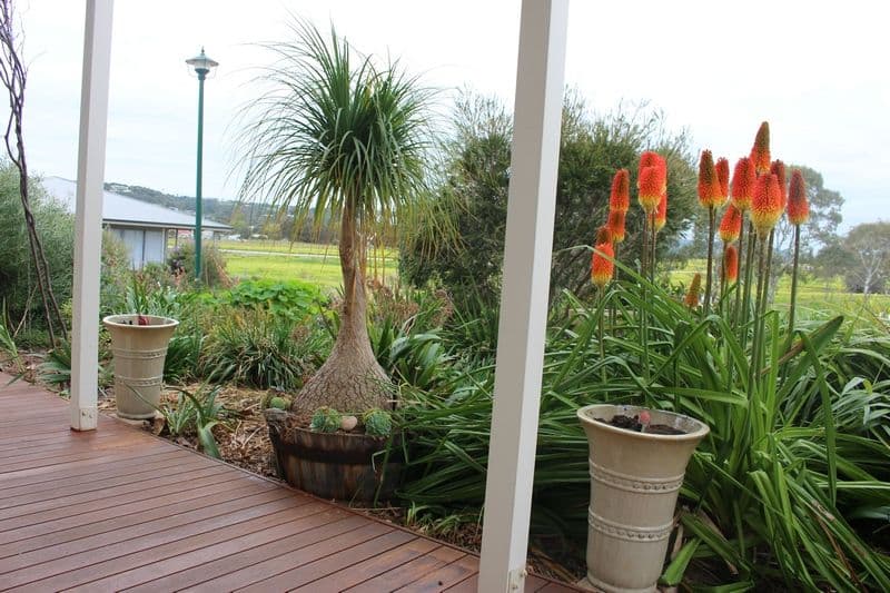 31 Resolute Avenue, Normanville SA 5204, Normanville - Thumbnail 3