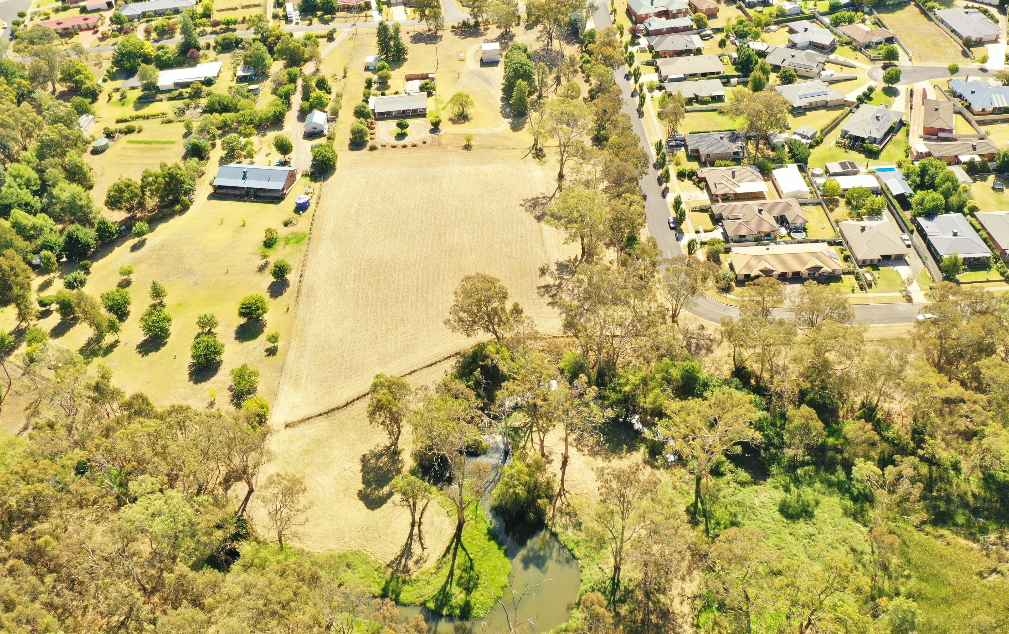 98 Binalong Street, Young NSW 2594, Young - Thumbnail 2