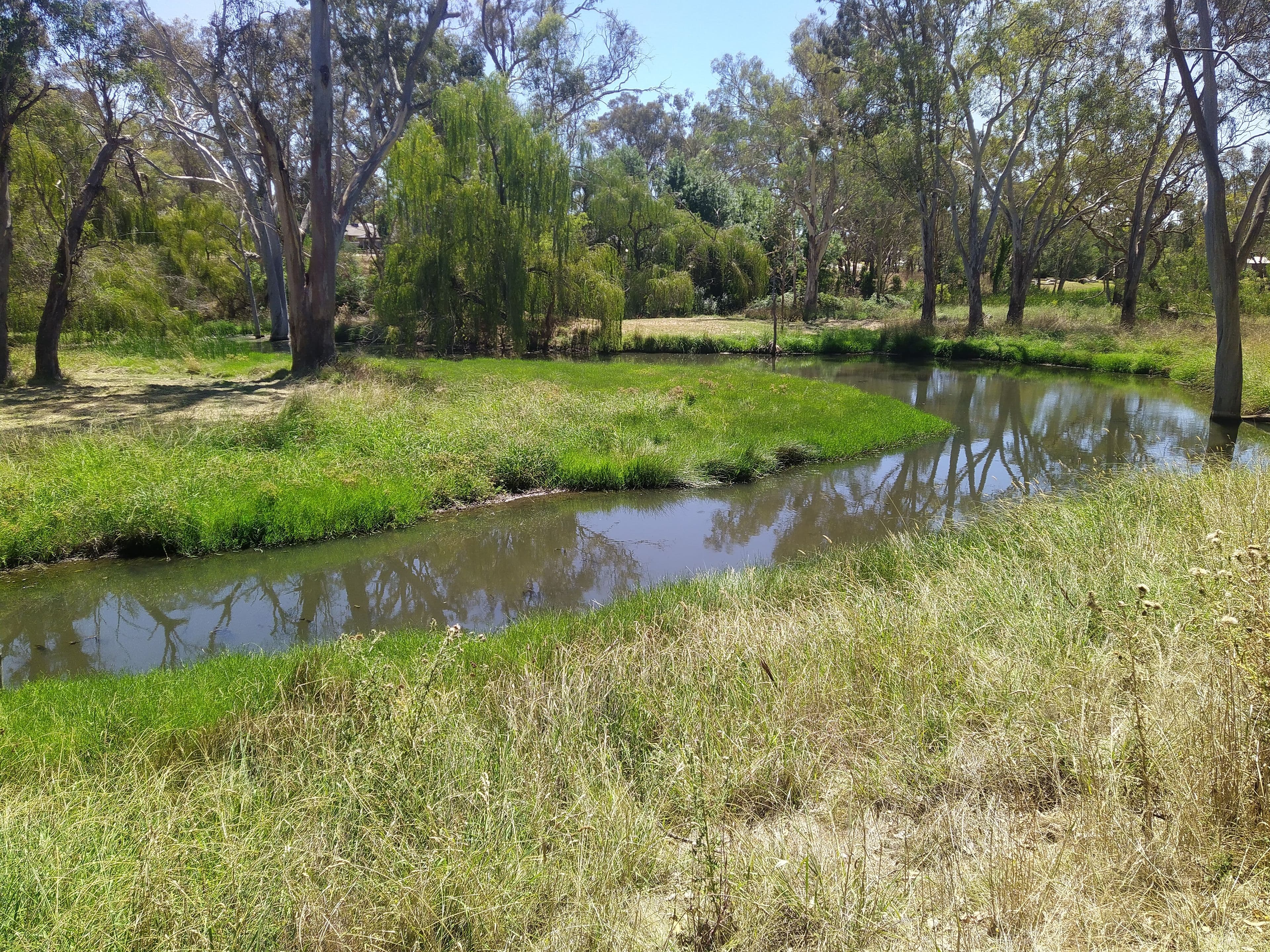 98 Binalong Street, Young NSW 2594, Young - Thumbnail 5