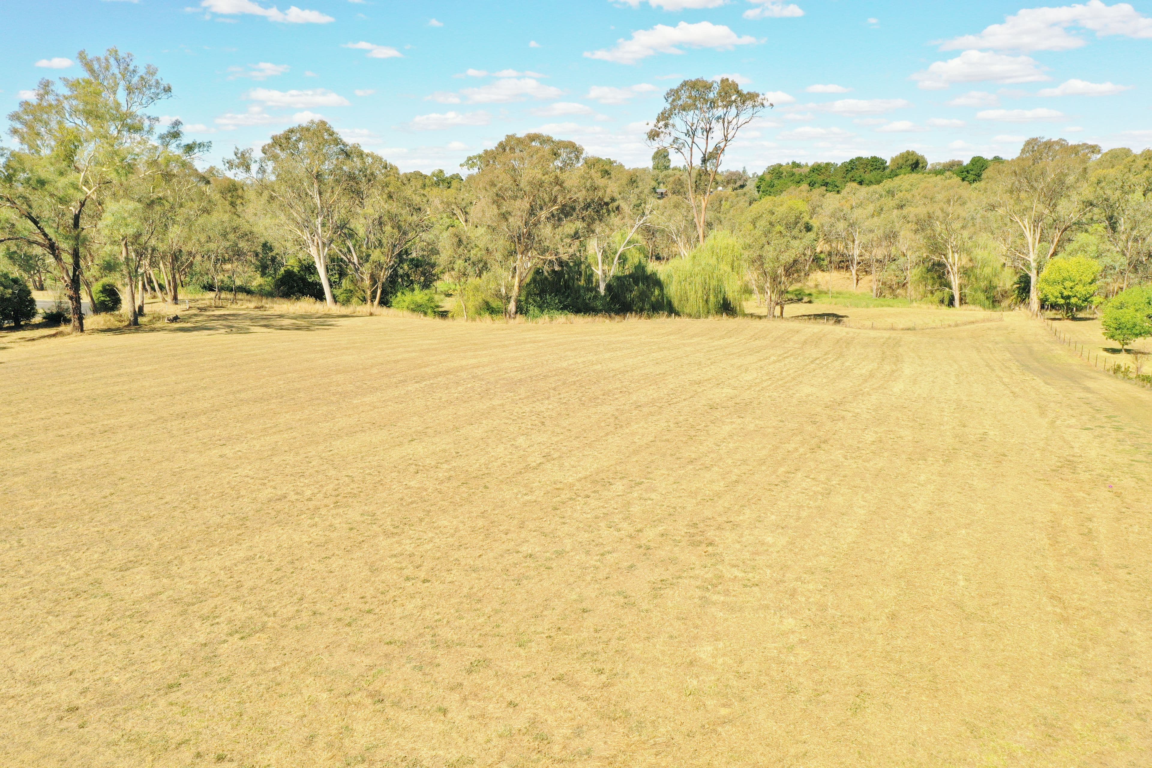 98 Binalong Street, Young NSW 2594, Young - Thumbnail 6