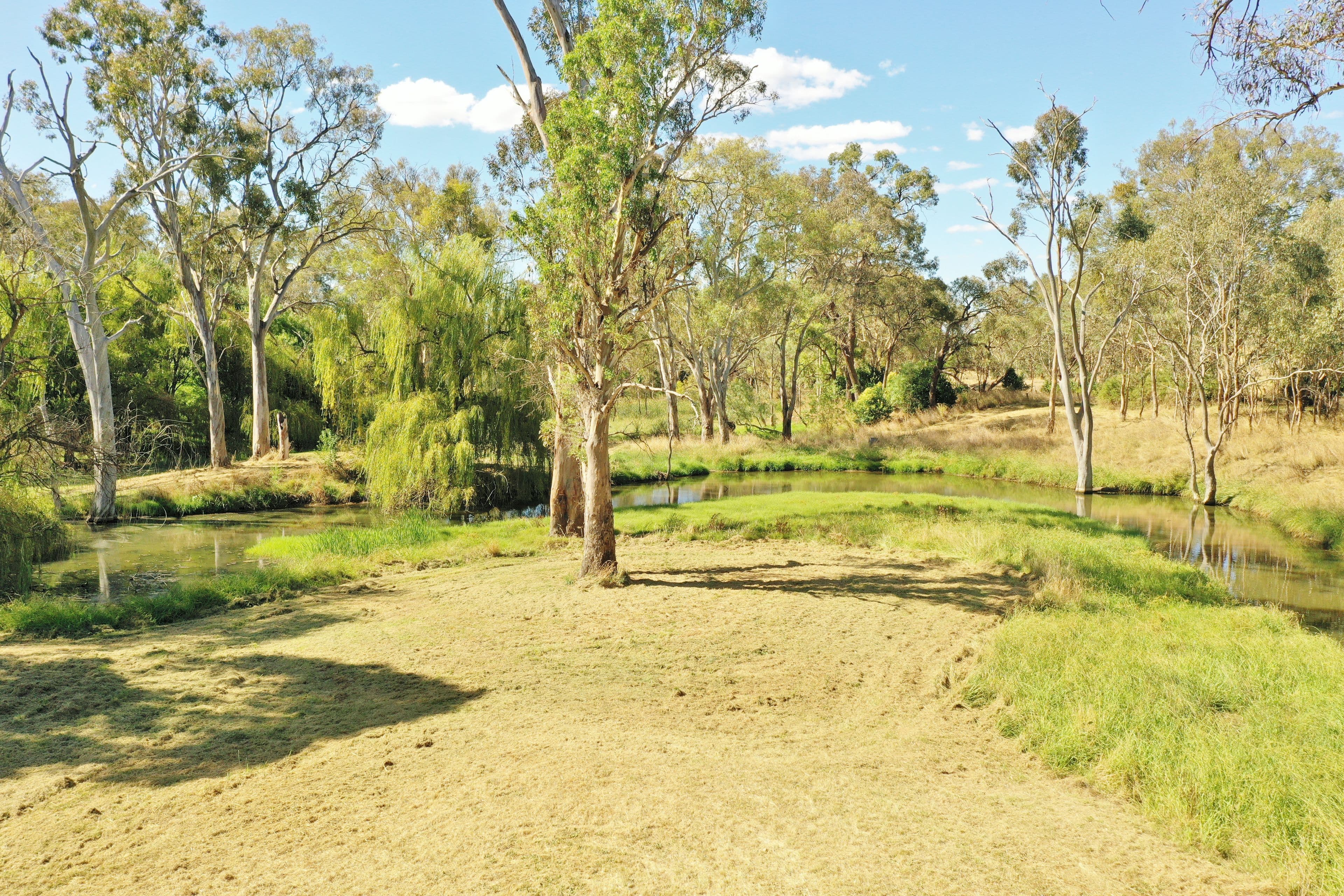 98 Binalong Street, Young NSW 2594, Young - Thumbnail 7