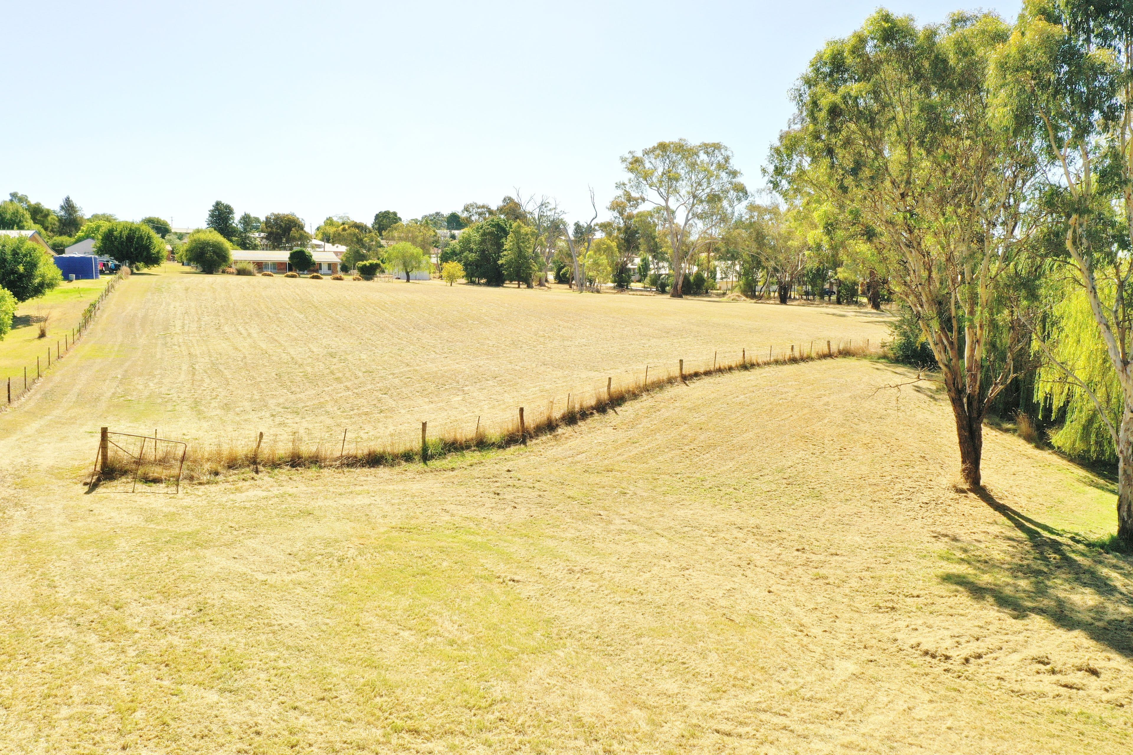 98 Binalong Street, Young NSW 2594, Young - Thumbnail 8