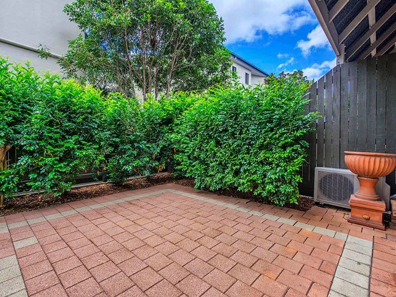 53 Junction Road, Clayfield QLD 4011, Clayfield - Thumbnail 3
