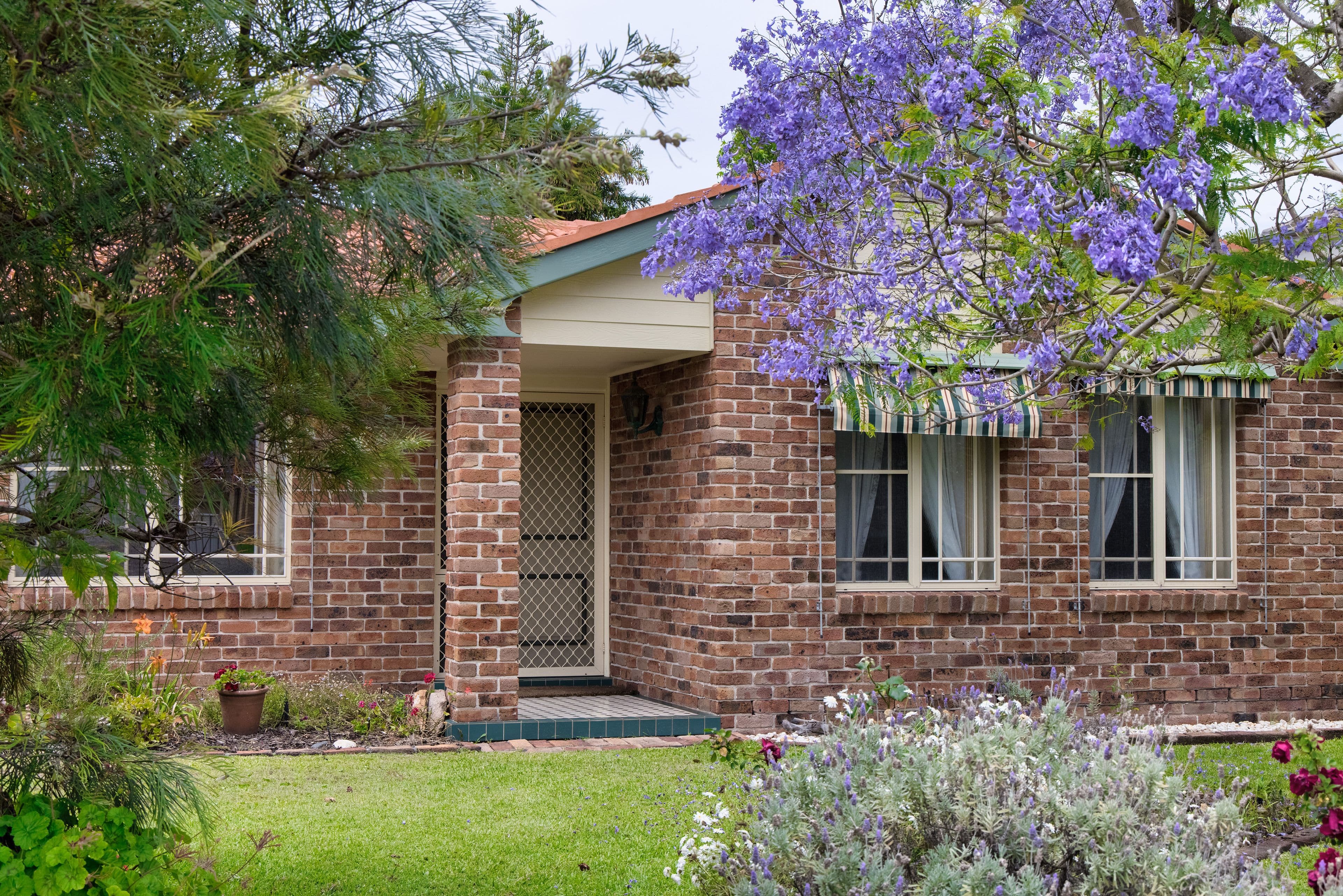 11 Jellicoe Close, Fingal Bay NSW 2315, Fingal Bay - Thumbnail 7