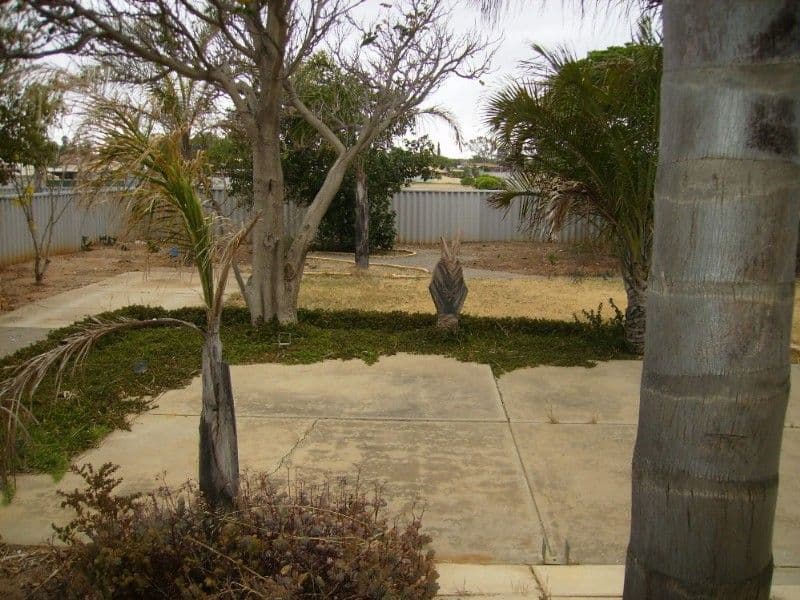 73 Blencowe Road, RANGEWAY WA 6530, Rangeway - Thumbnail 5