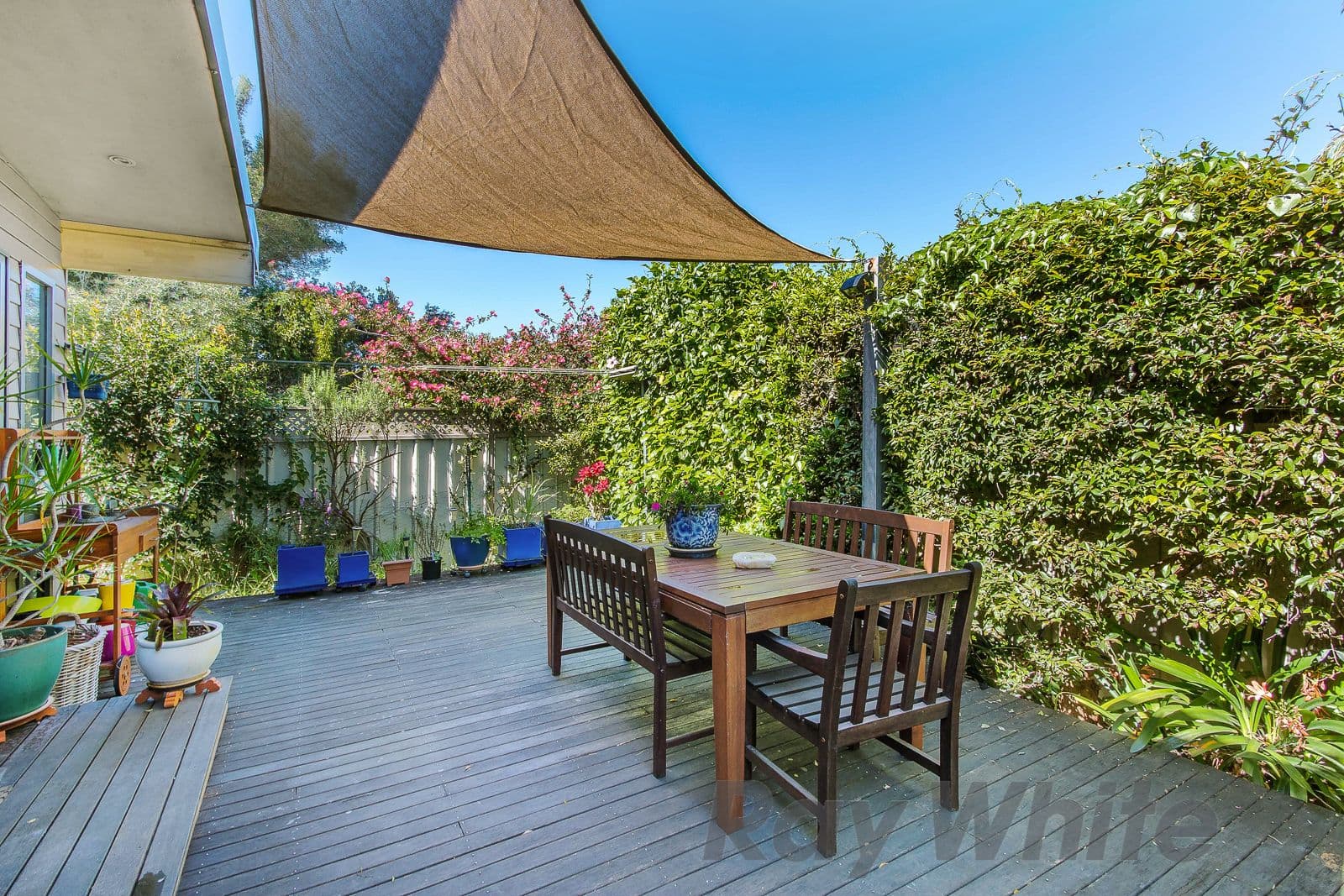 117 Gipps Street, Carrington - Thumbnail 5