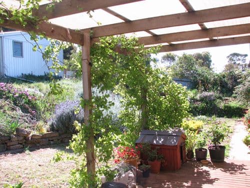 70 Weigall Street, EUDUNDA SA 5374, Eudunda - Thumbnail 8