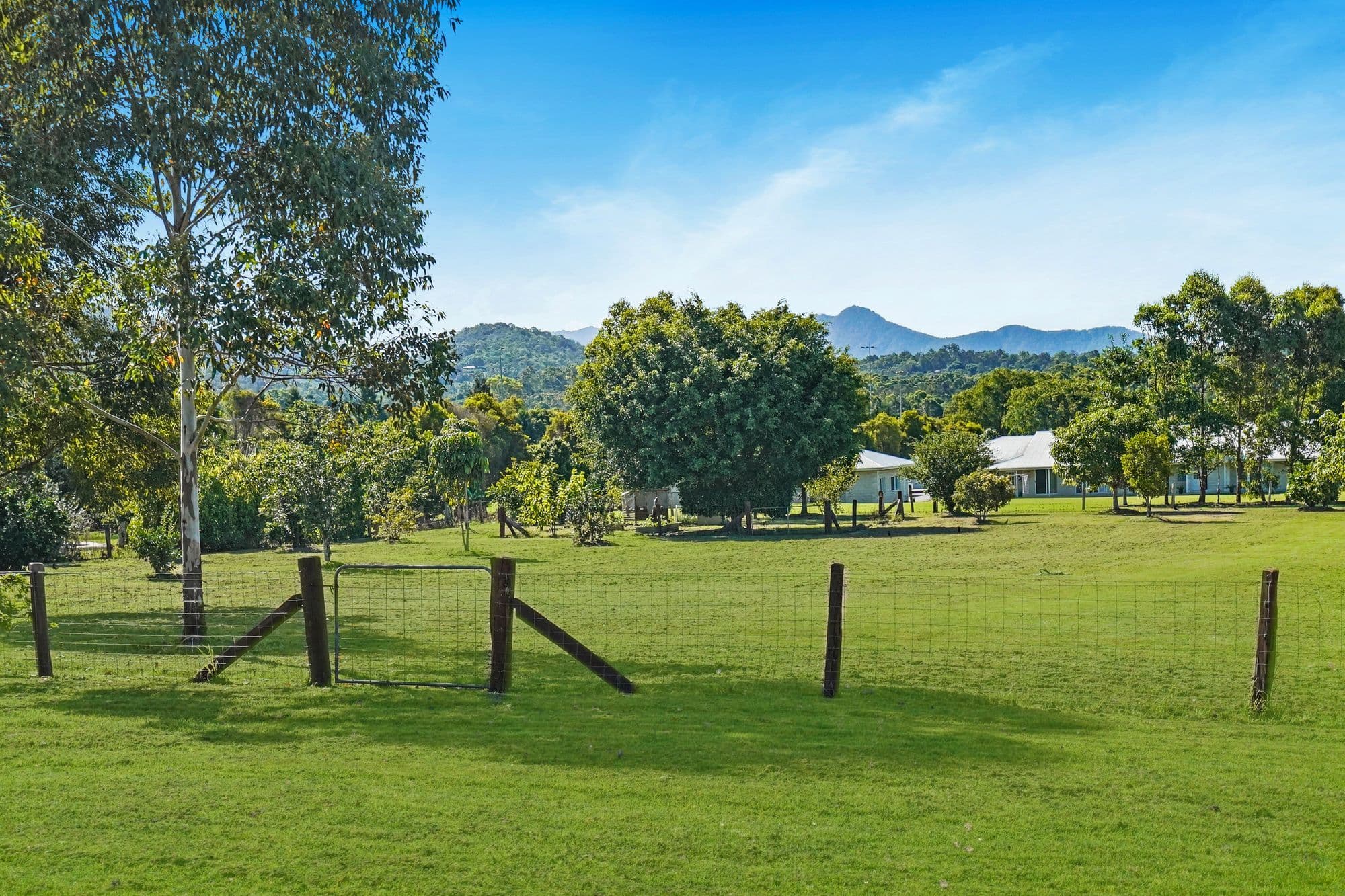 25 Ascot Crescent, Samford Valley QLD 4520, Samford Valley - Thumbnail 2