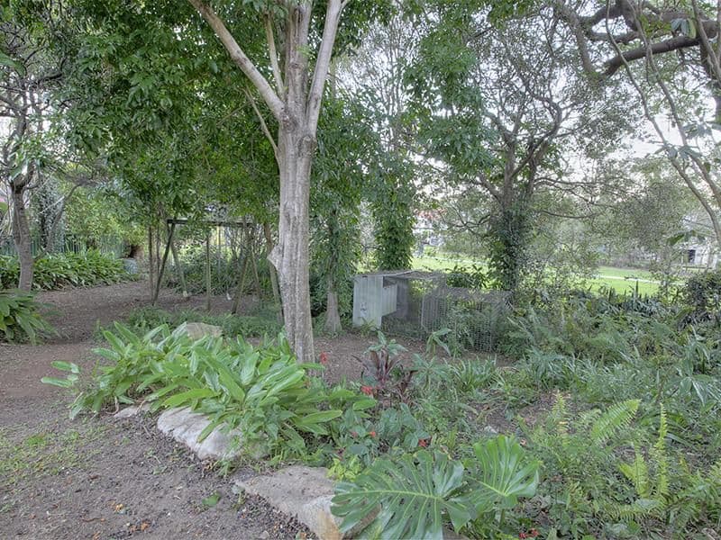 55 Wharton Street, Moorooka QLD 4105, Moorooka - Thumbnail 5